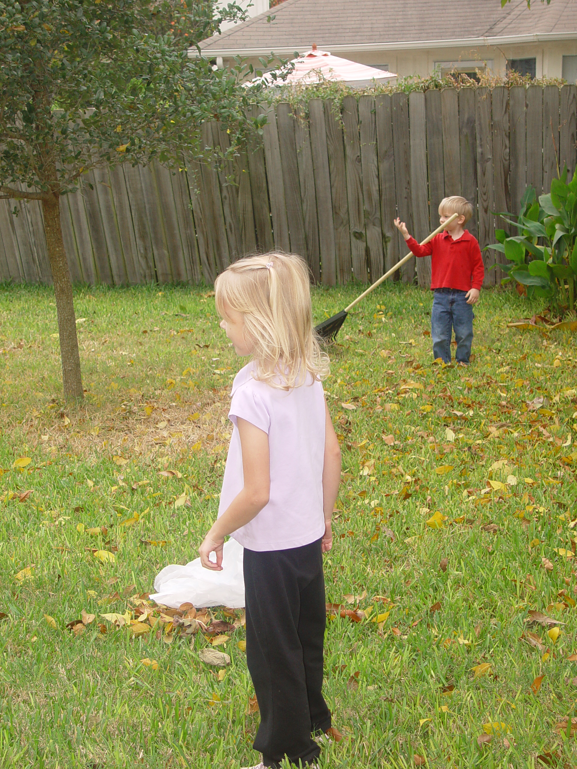 Zack and Ava, Joy School