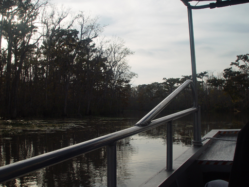 New Orleans Trip - Day 3 (Gumbo & Alligator Sausage, Hurricane Katrina Devastation, Swamp Tour)