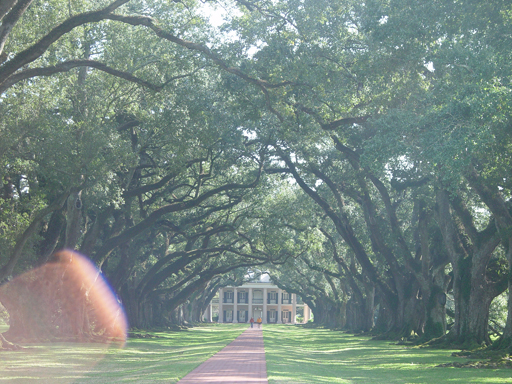 New Orleans Trip - Day 4 (Hurricane Katrina Devastation, Graveyards, Garden District, Oak Alley Plantation, Cajun Food)