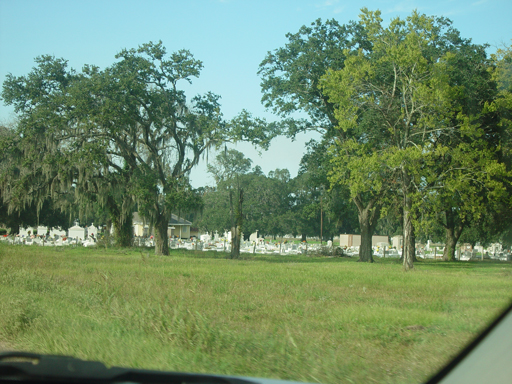 New Orleans Trip - Day 4 (Hurricane Katrina Devastation, Graveyards, Garden District, Oak Alley Plantation, Cajun Food)