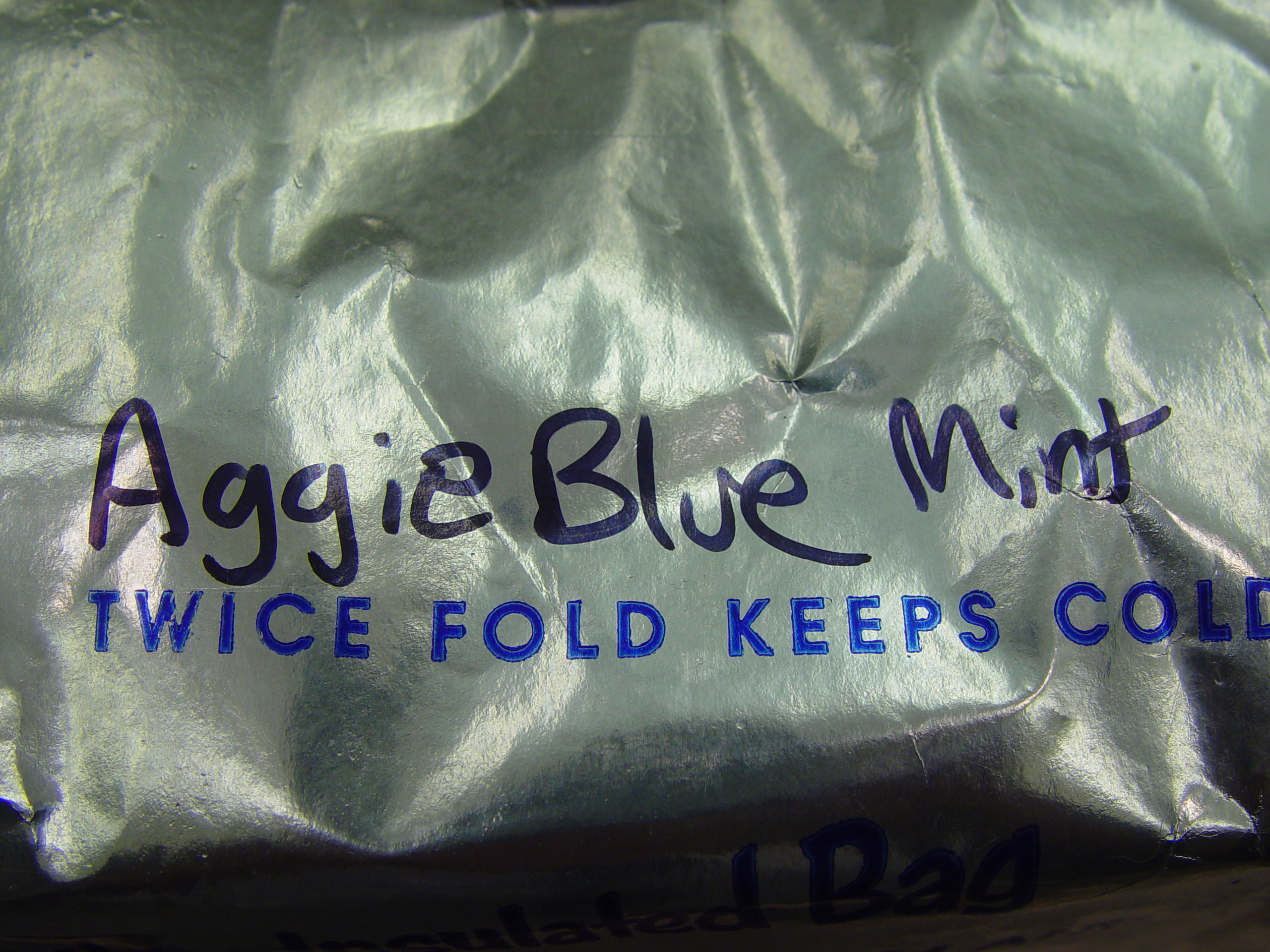 Christmas 2006 (Aggie Basketball, Winning a Lovesac, Aggie Blue Mint)