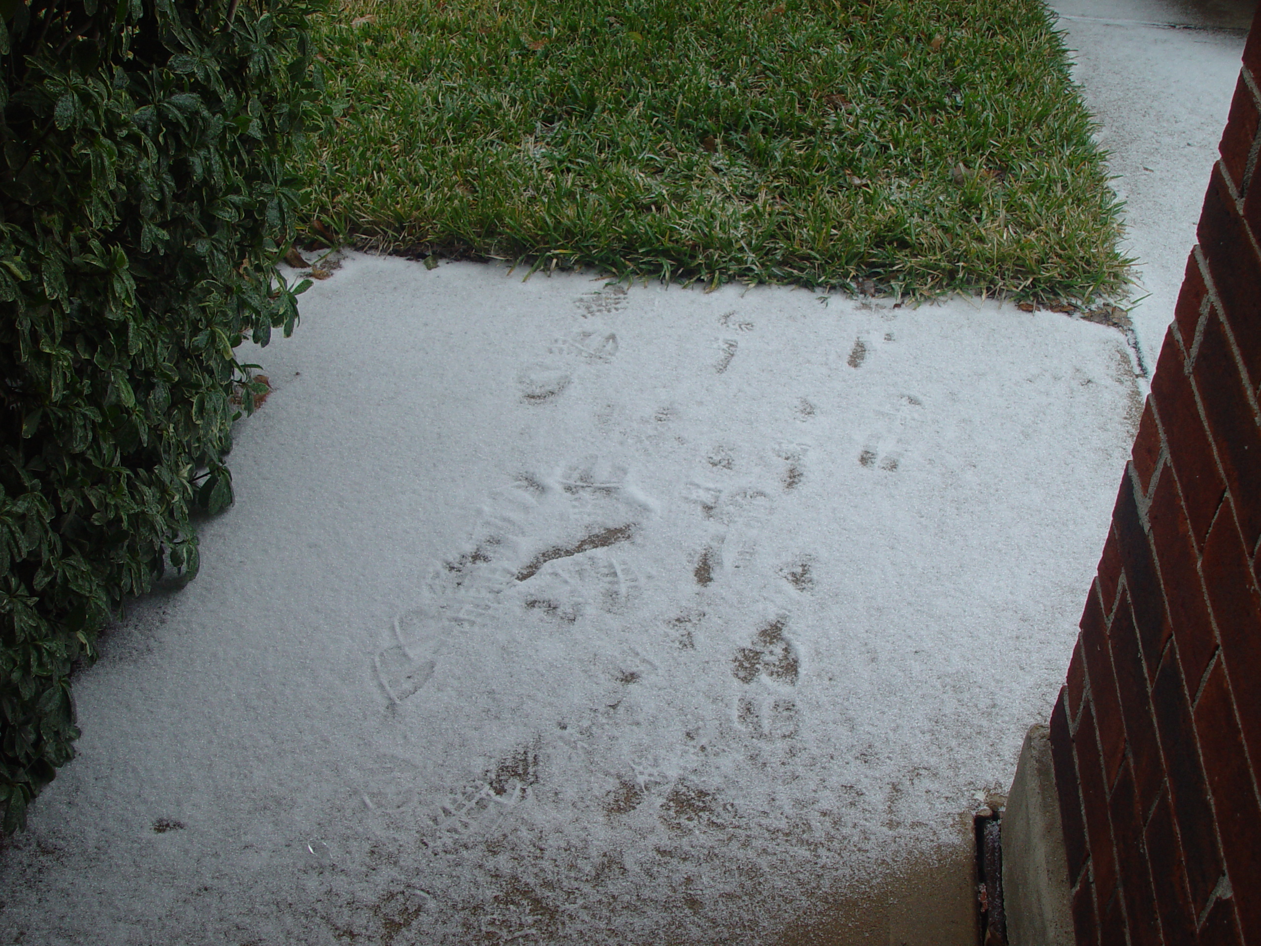 2007 Austin Ice Storm