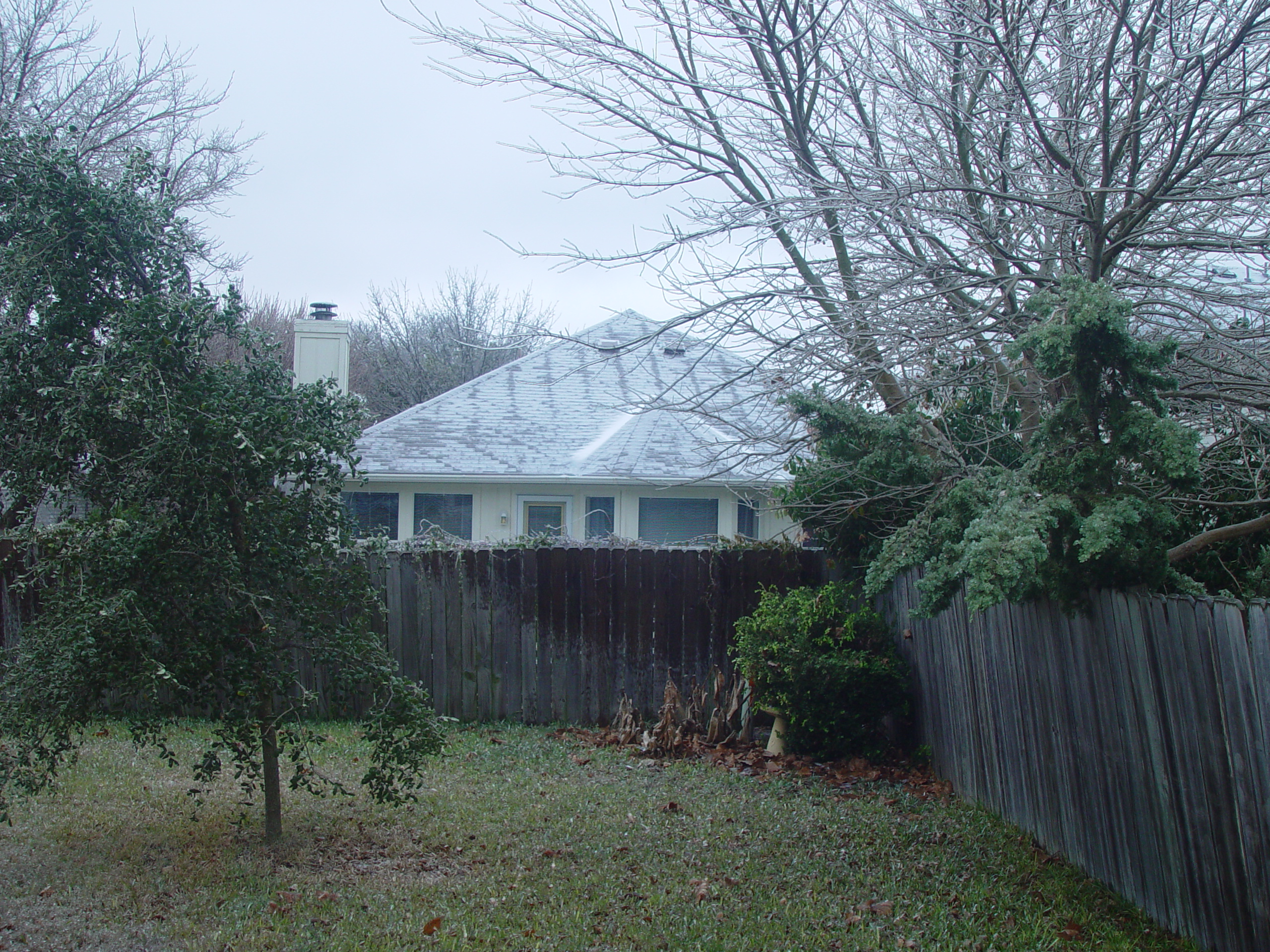 2007 Austin Ice Storm