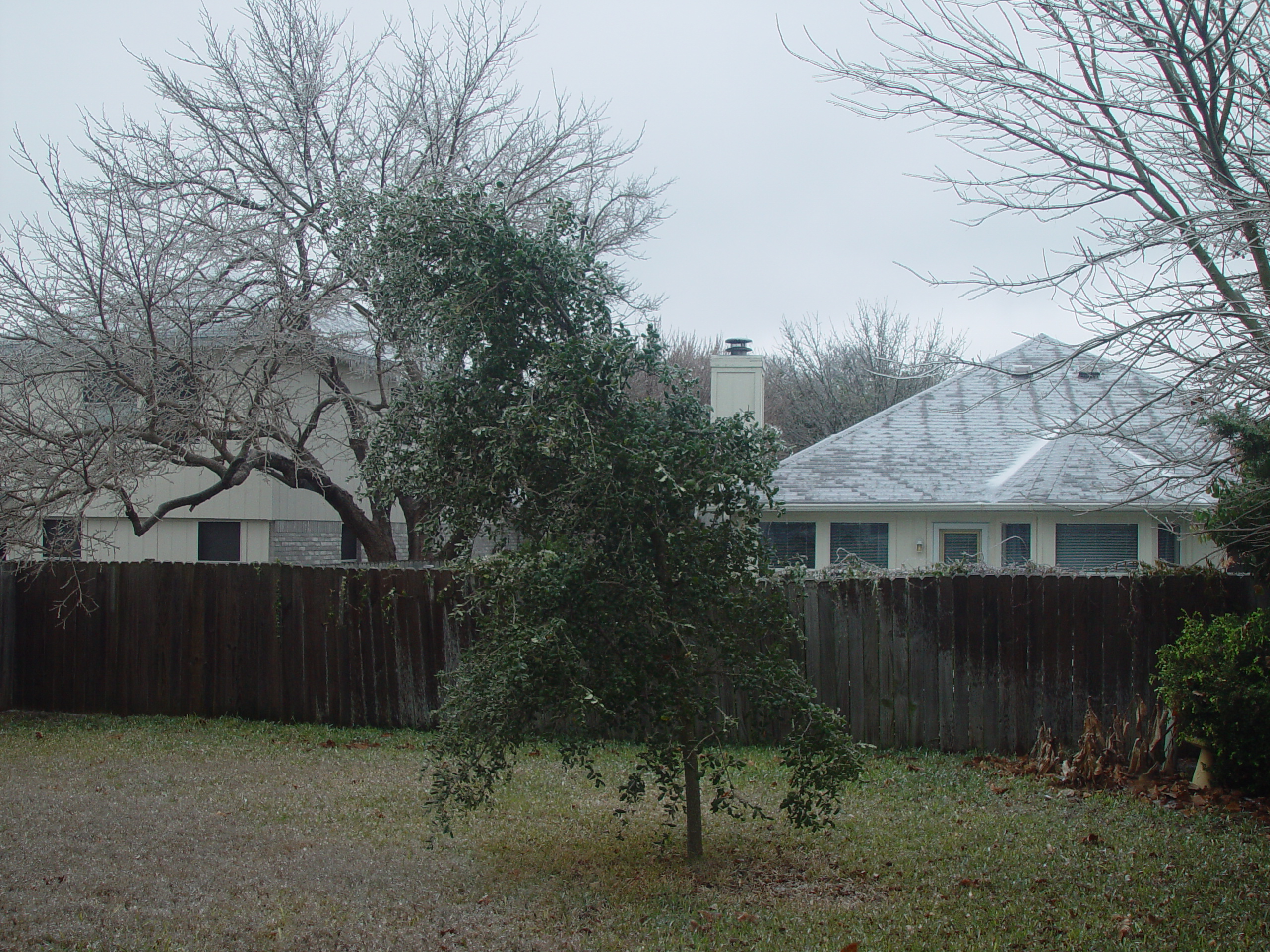 2007 Austin Ice Storm