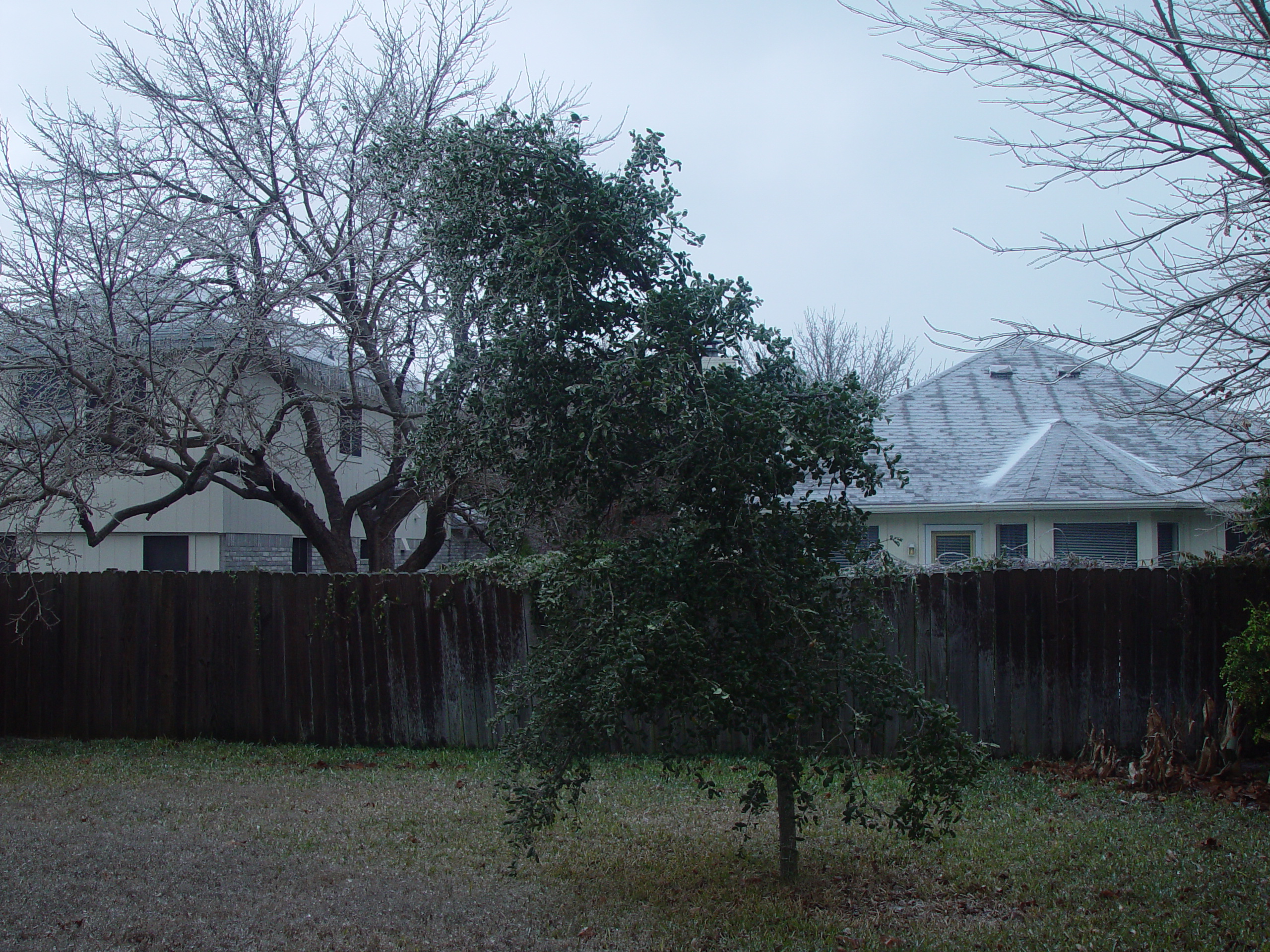 2007 Austin Ice Storm