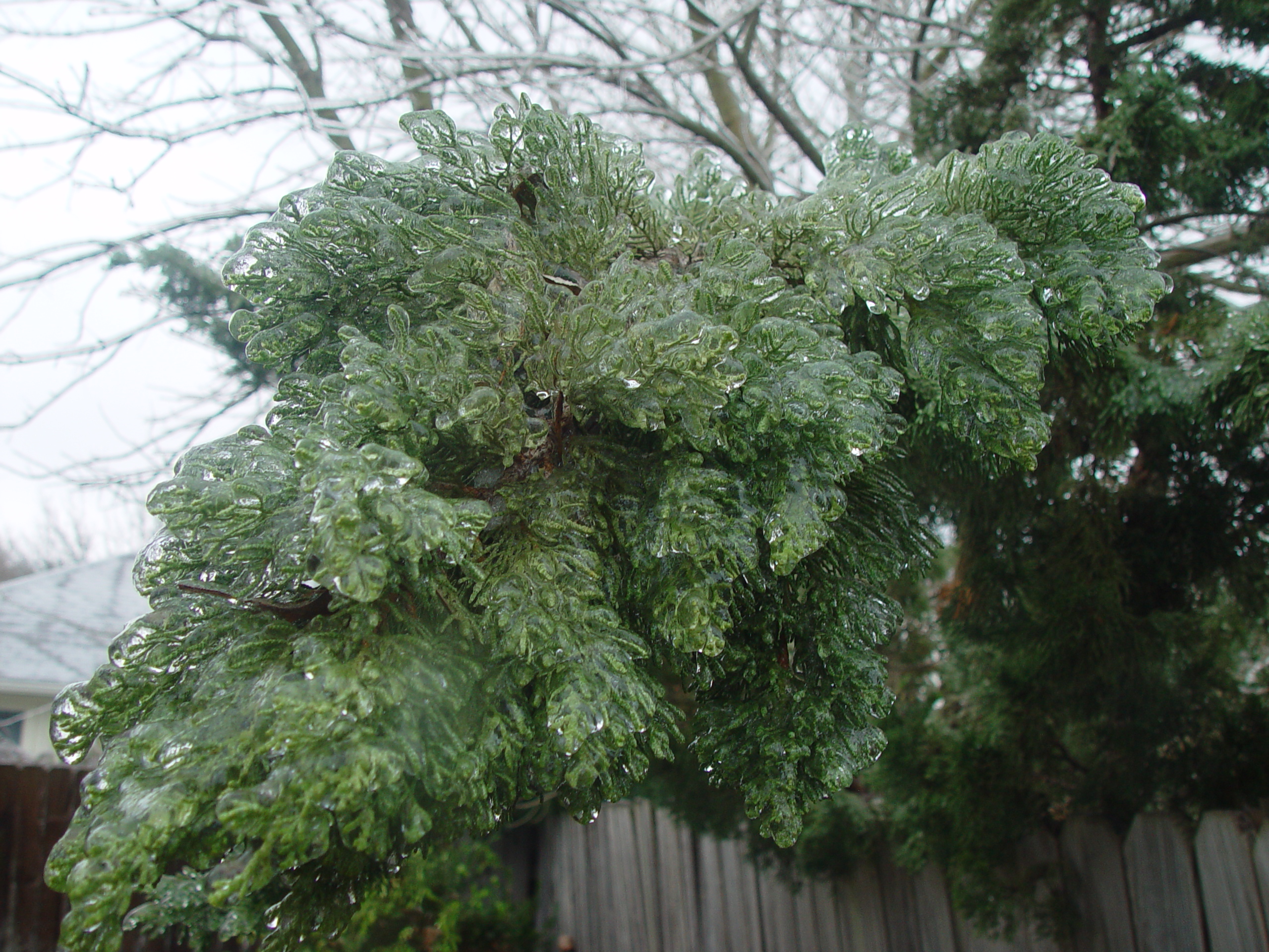 2007 Austin Ice Storm