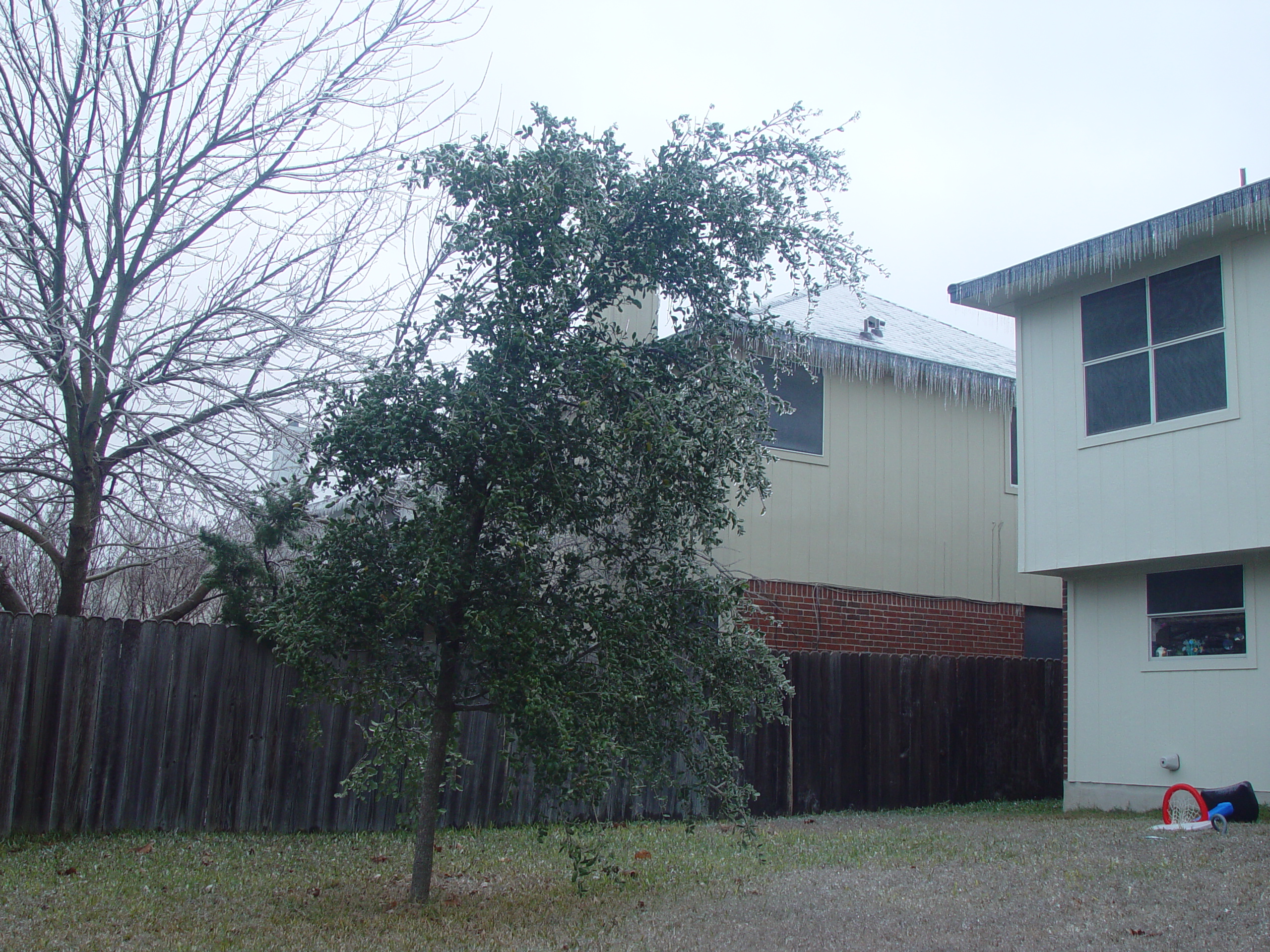 2007 Austin Ice Storm