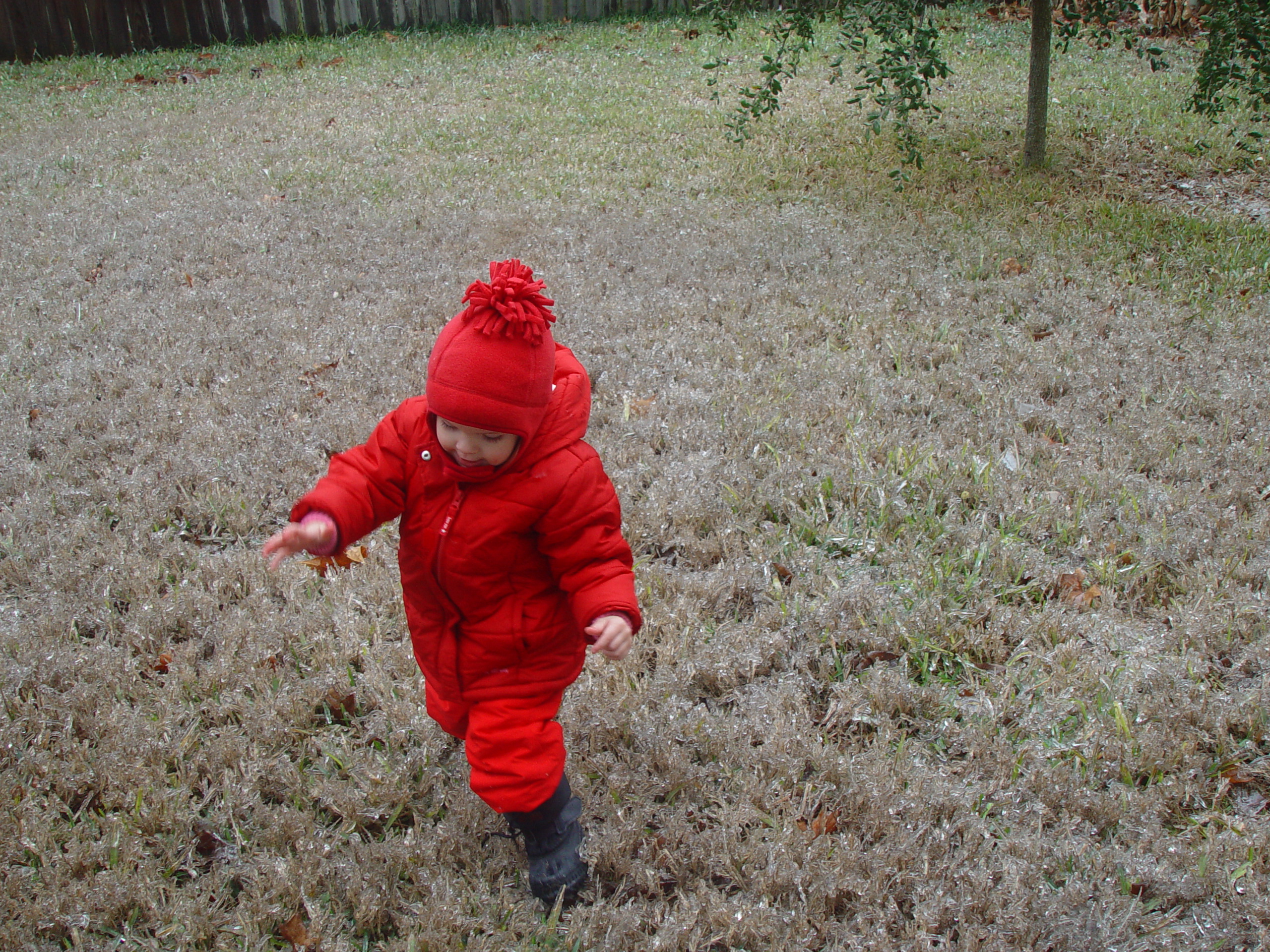 2007 Austin Ice Storm
