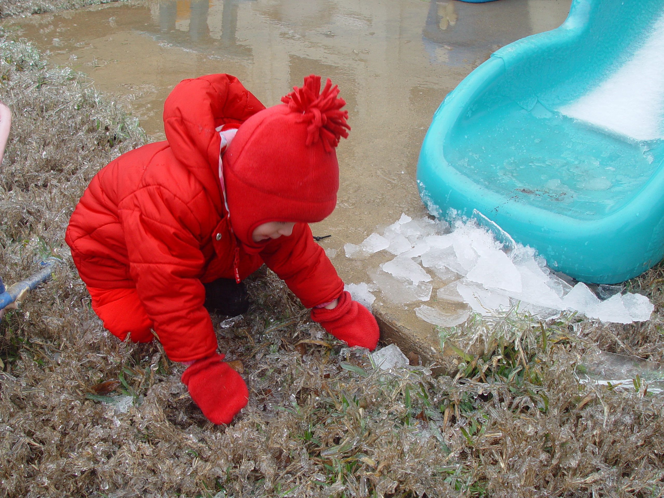 2007 Austin Ice Storm