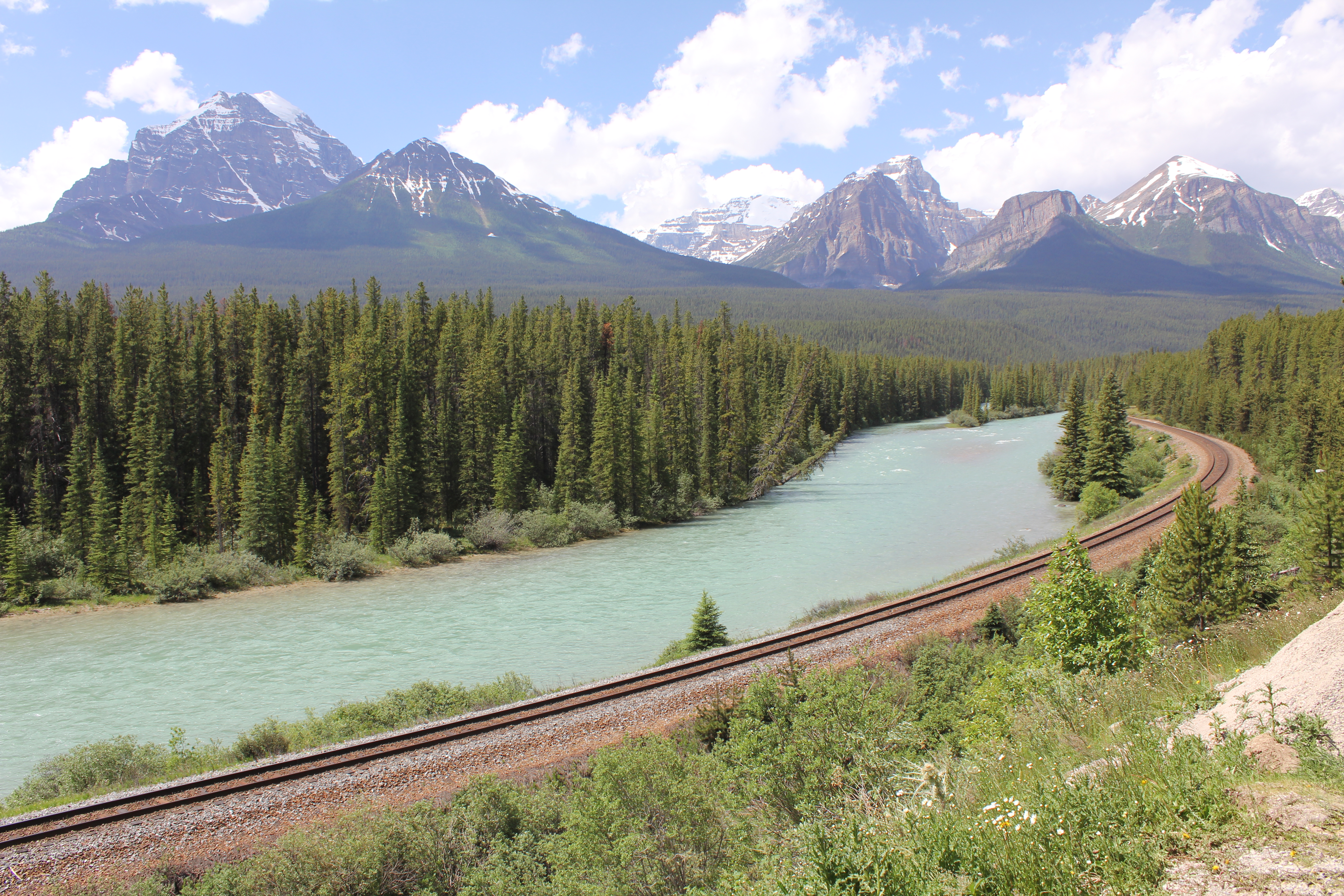 2011 July Break - Alberta, Canada (Jasper National Park, Bighorn Sheep, More Bears, Elk, Calgary, Pincher Creek)