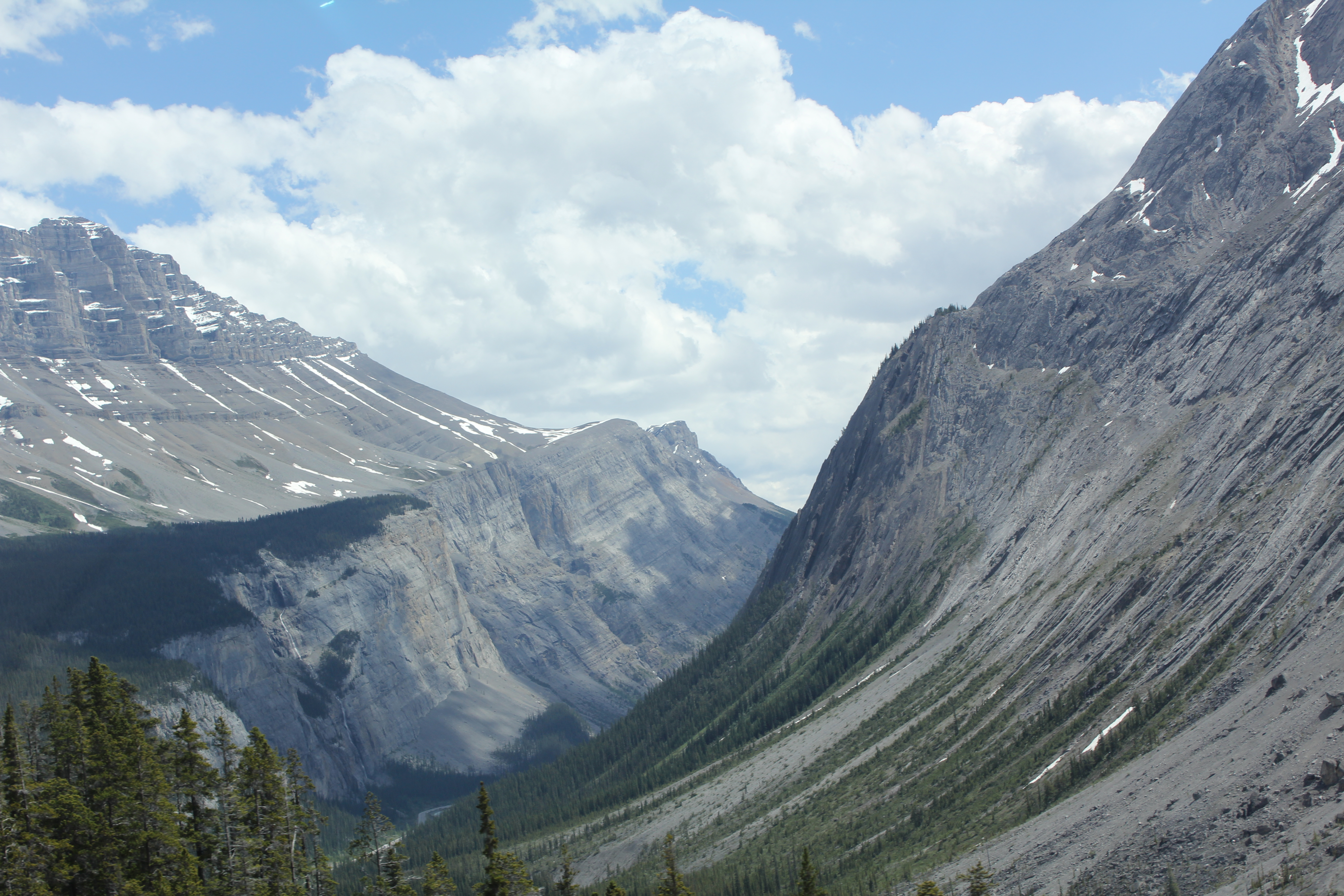 2011 July Break - Alberta, Canada (Jasper National Park, Bighorn Sheep, More Bears, Elk, Calgary, Pincher Creek)