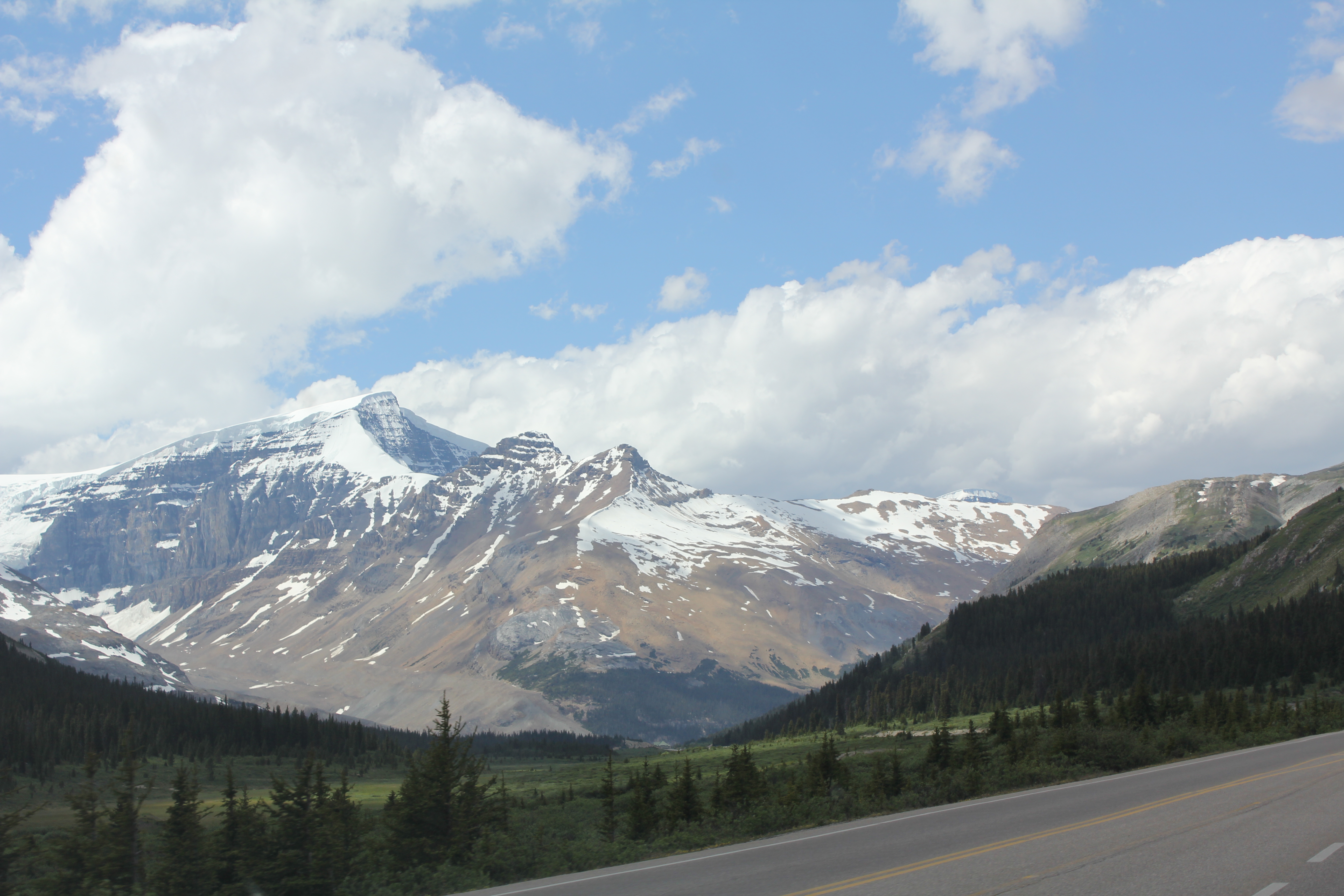 2011 July Break - Alberta, Canada (Jasper National Park, Bighorn Sheep, More Bears, Elk, Calgary, Pincher Creek)