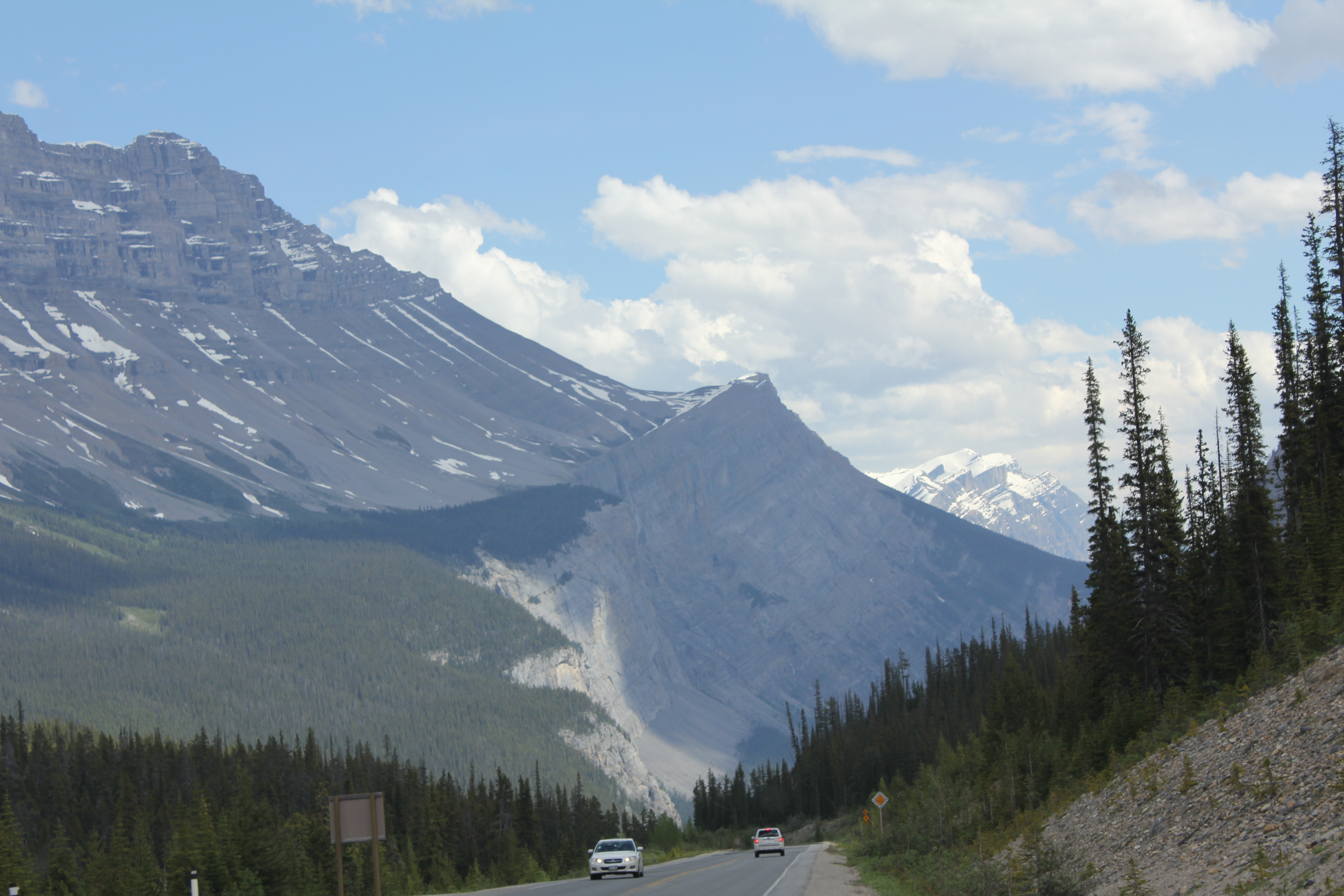 2011 July Break - Alberta, Canada (Jasper National Park, Bighorn Sheep, More Bears, Elk, Calgary, Pincher Creek)