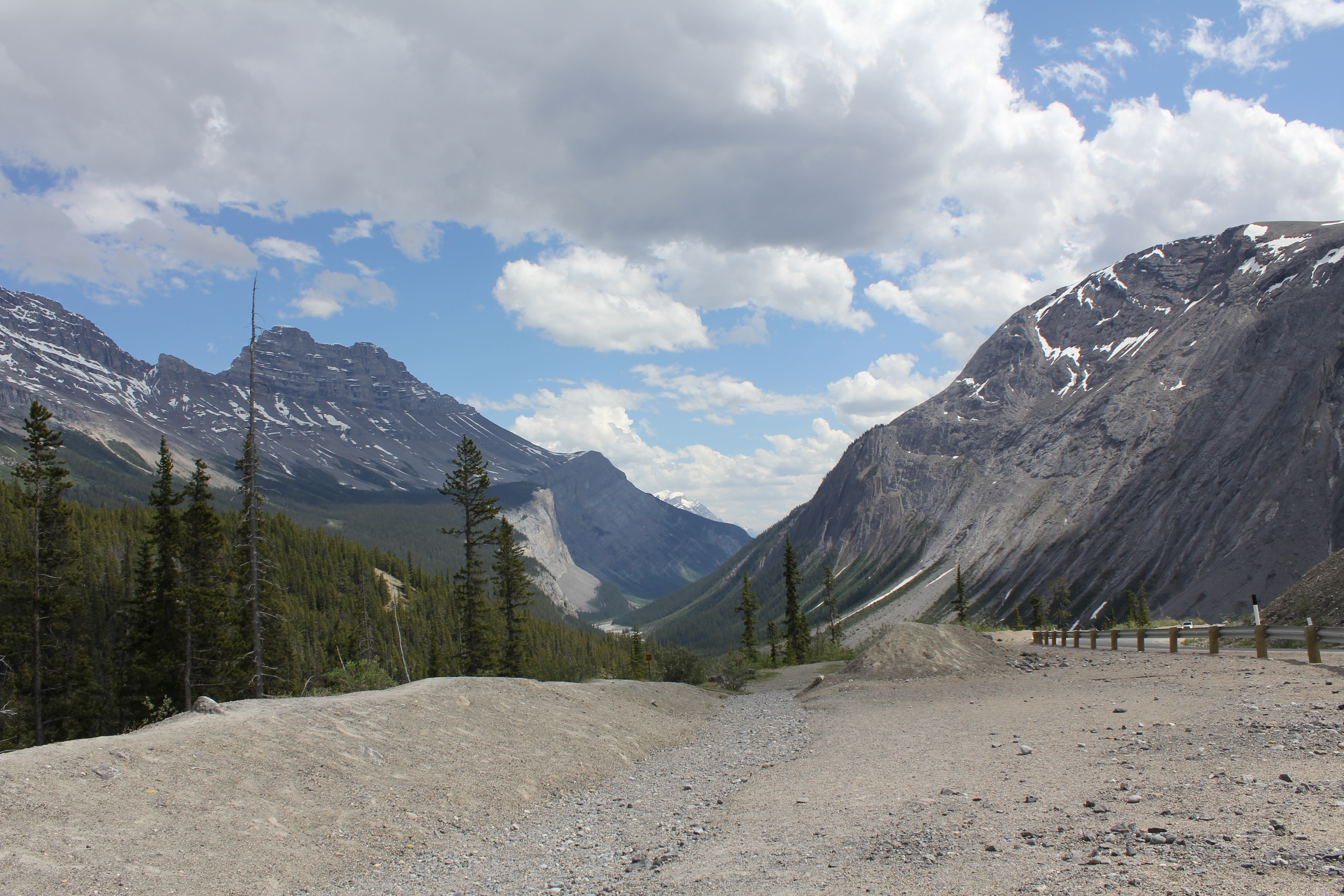 2011 July Break - Alberta, Canada (Jasper National Park, Bighorn Sheep, More Bears, Elk, Calgary, Pincher Creek)