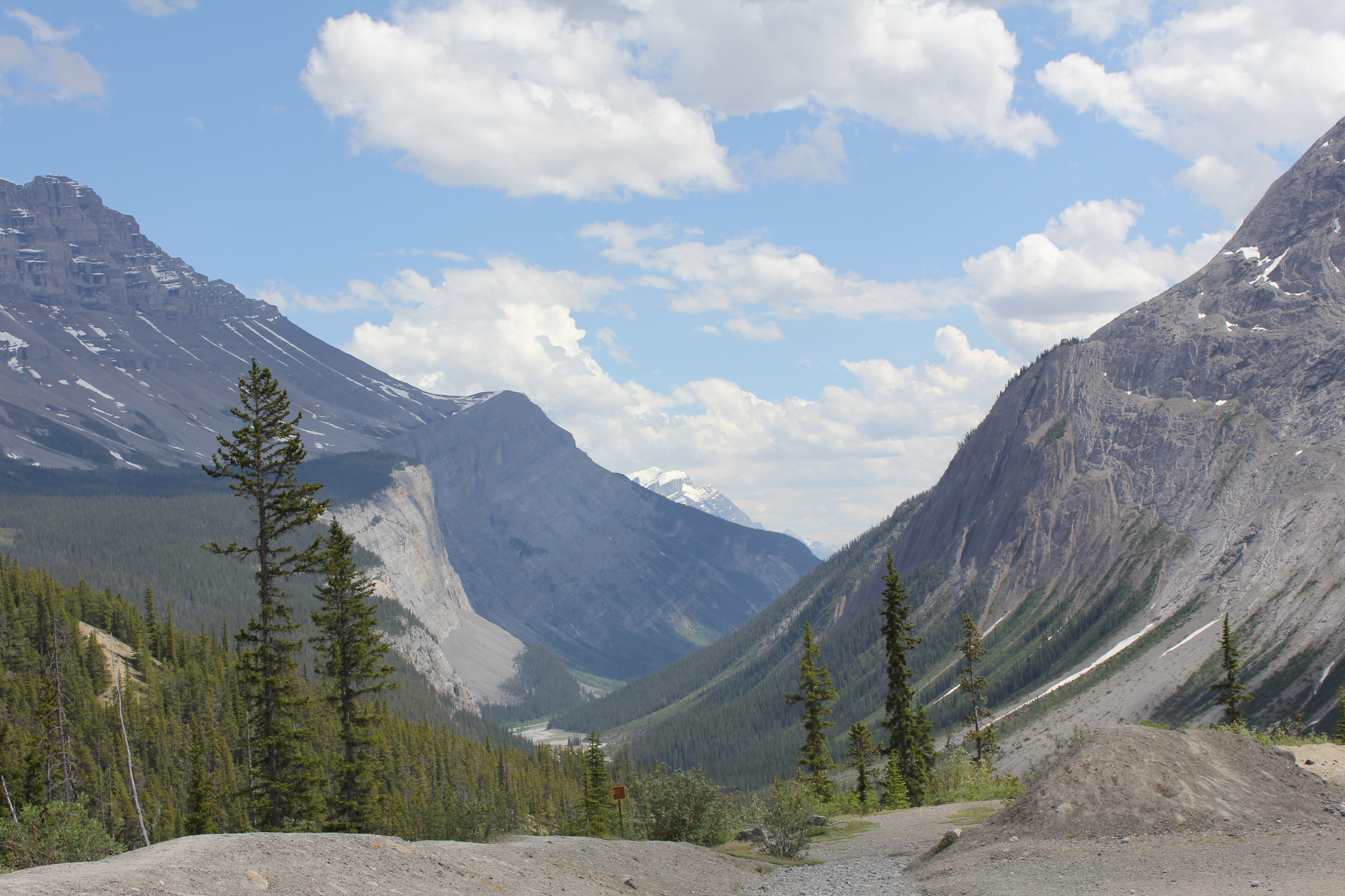 2011 July Break - Alberta, Canada (Jasper National Park, Bighorn Sheep, More Bears, Elk, Calgary, Pincher Creek)