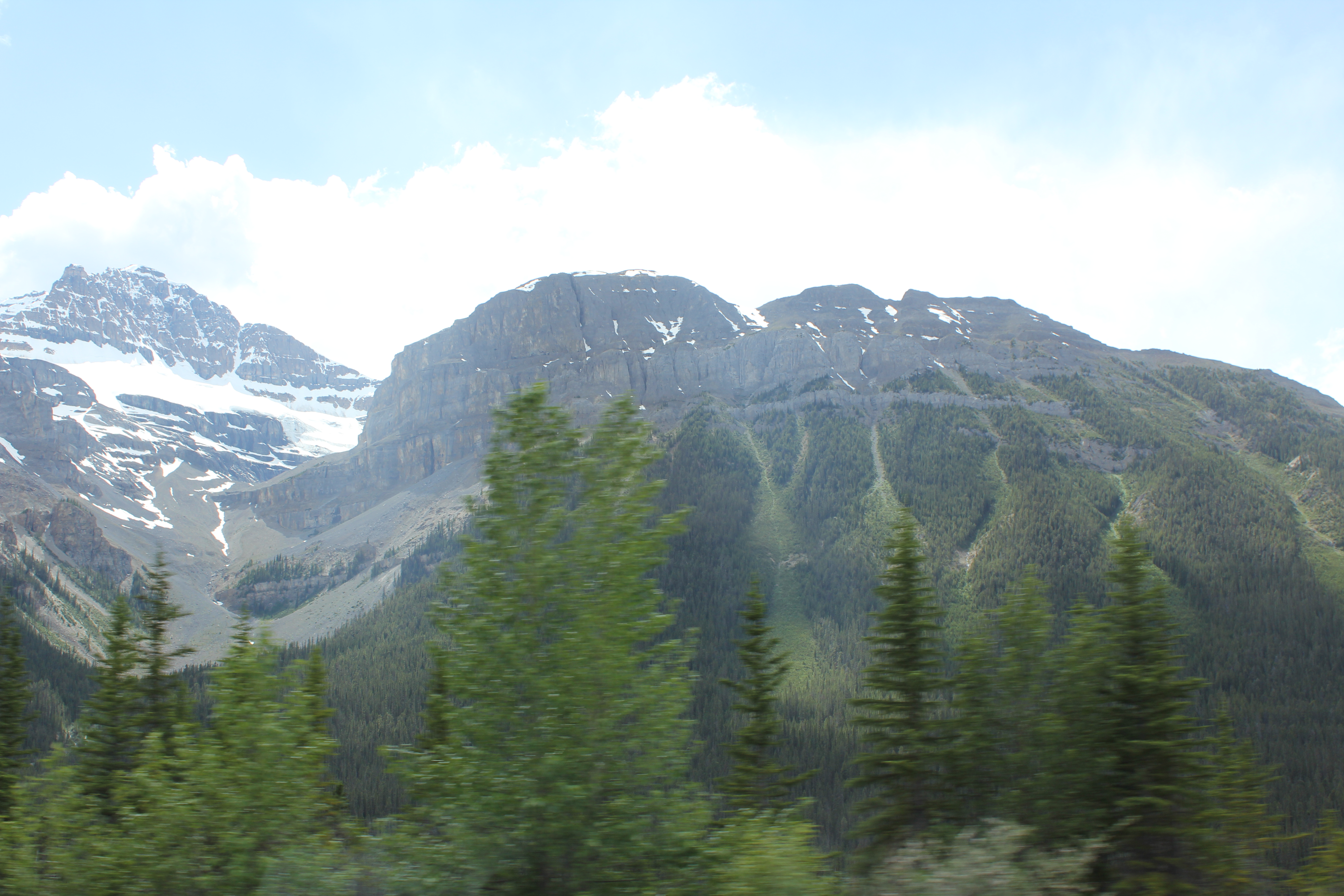 2011 July Break - Alberta, Canada (Jasper National Park, Bighorn Sheep, More Bears, Elk, Calgary, Pincher Creek)