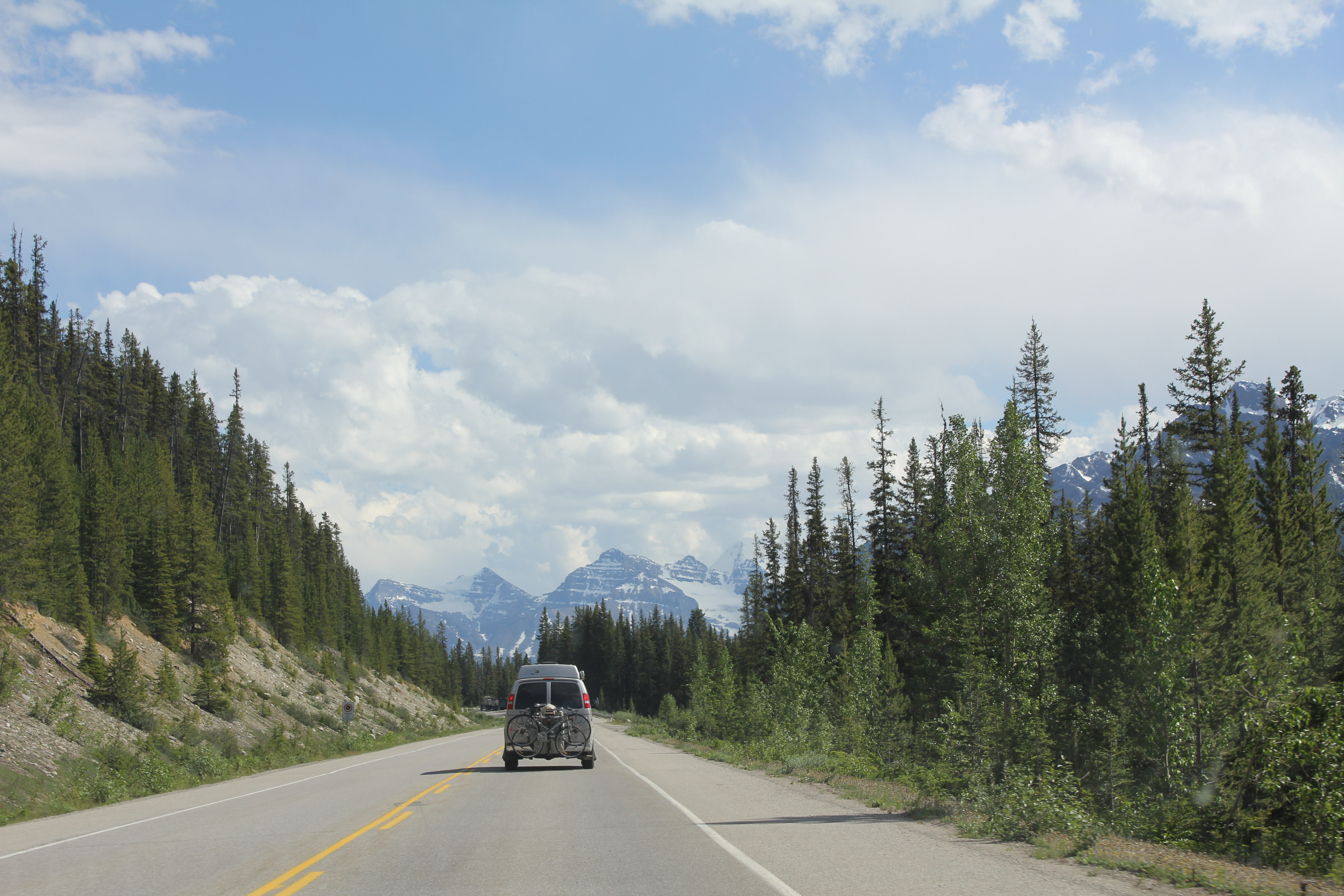 2011 July Break - Alberta, Canada (Jasper National Park, Bighorn Sheep, More Bears, Elk, Calgary, Pincher Creek)