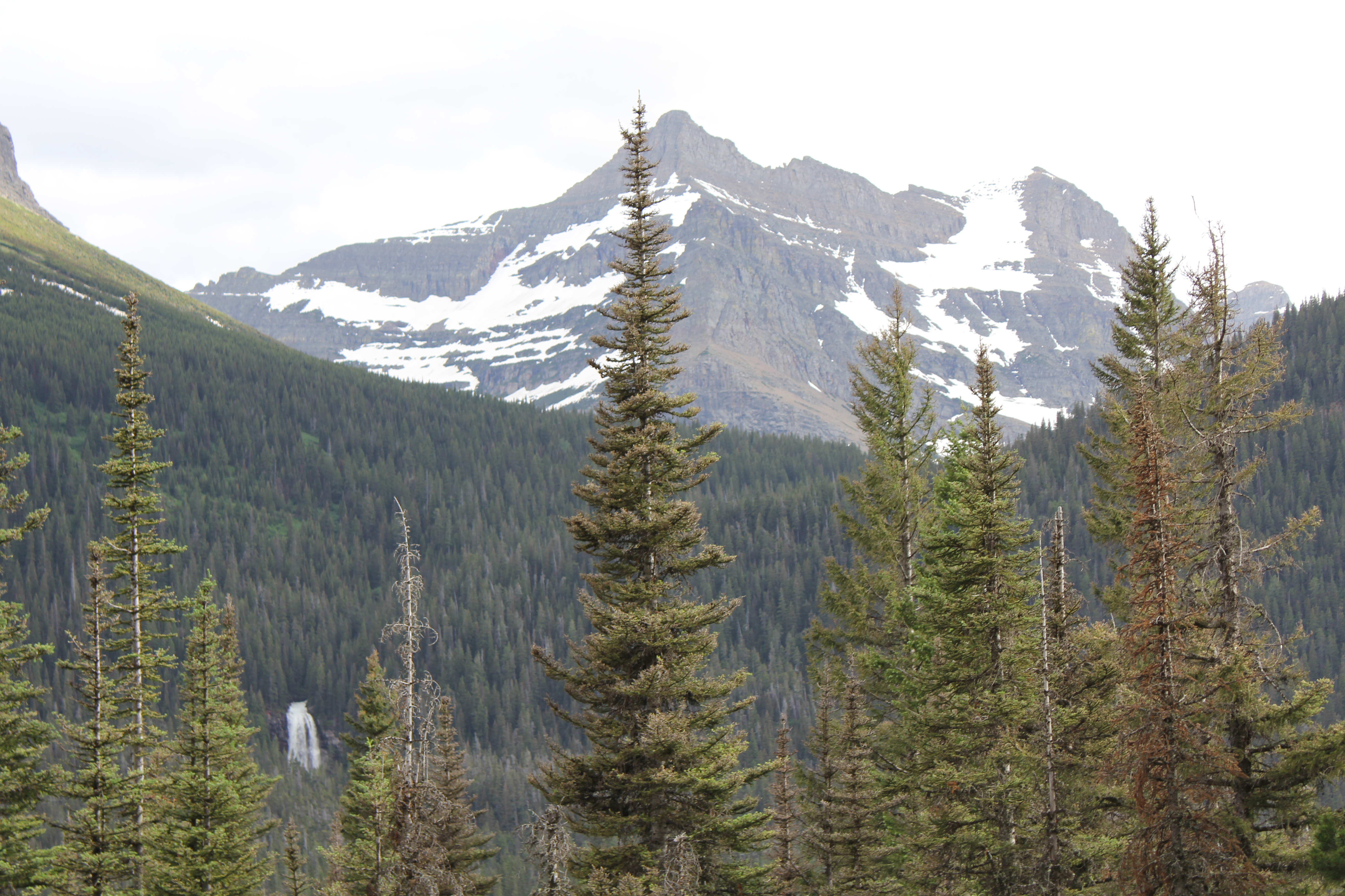 2011 July Break - Montana (Glacier National Park, Wild Horses, Swan Lake Camping Cabins, Stoney's Kwik Stop and 