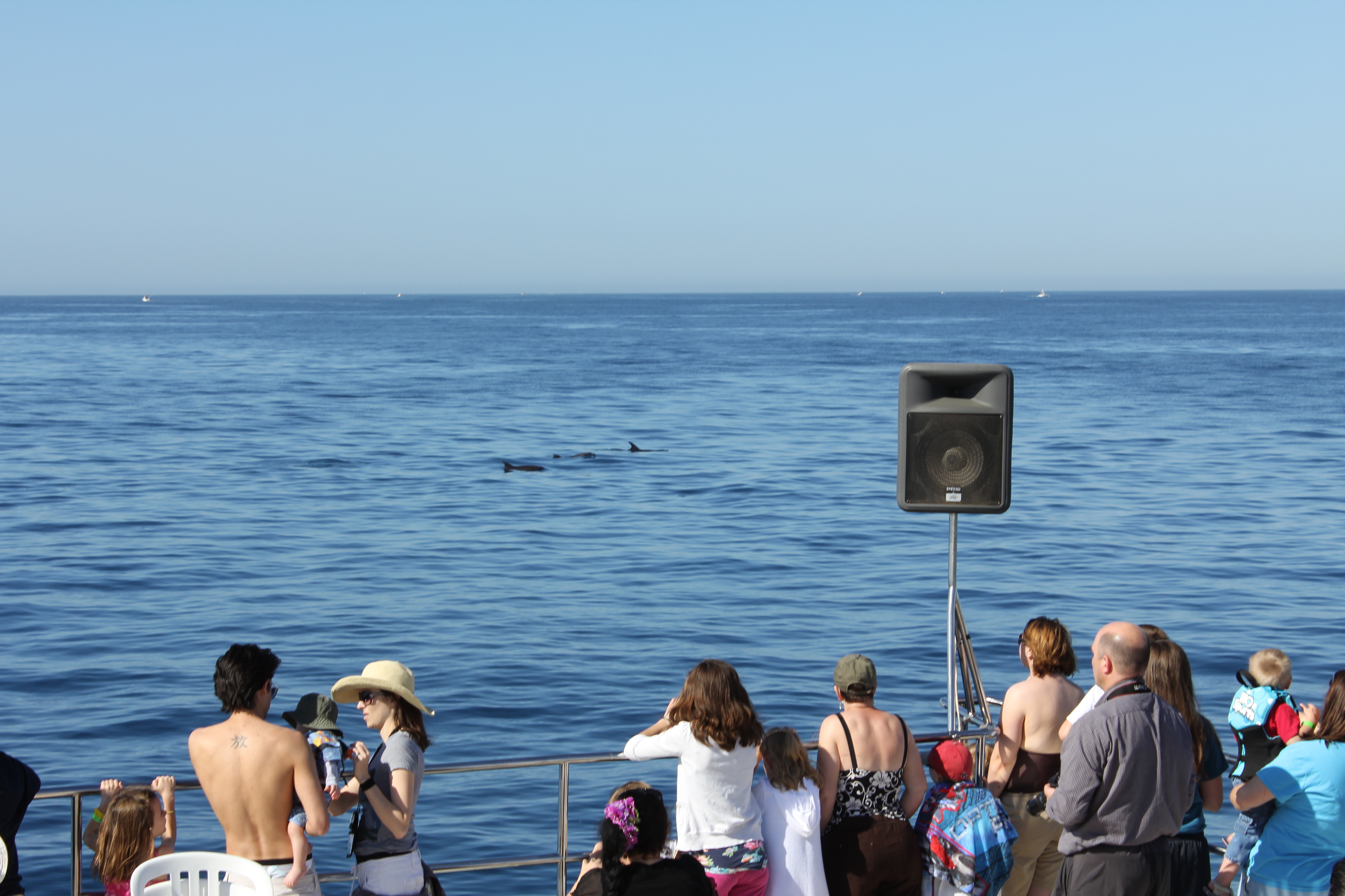 2012 Cabo Family Trip - Day 4