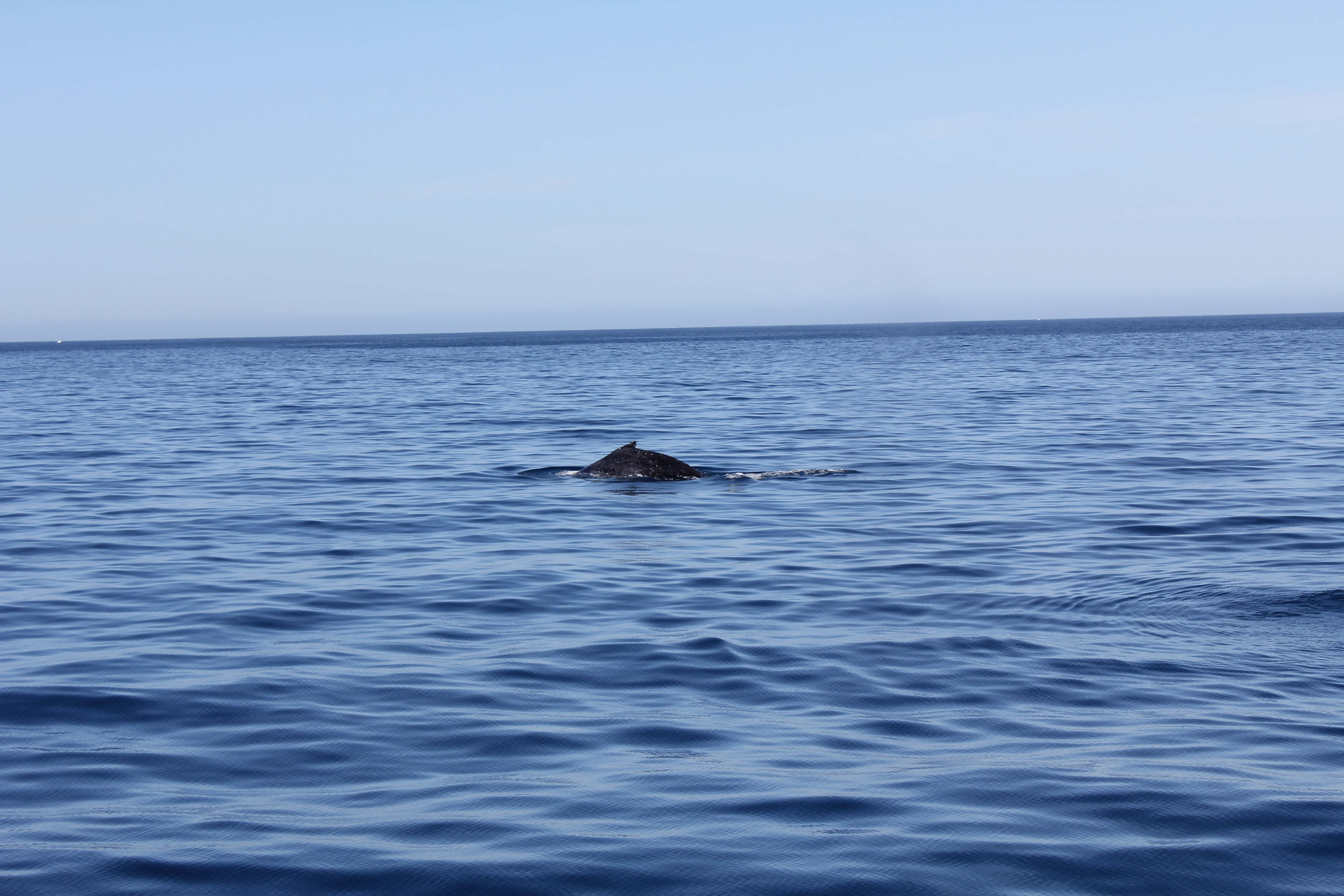 2012 Cabo Family Trip - Day 4