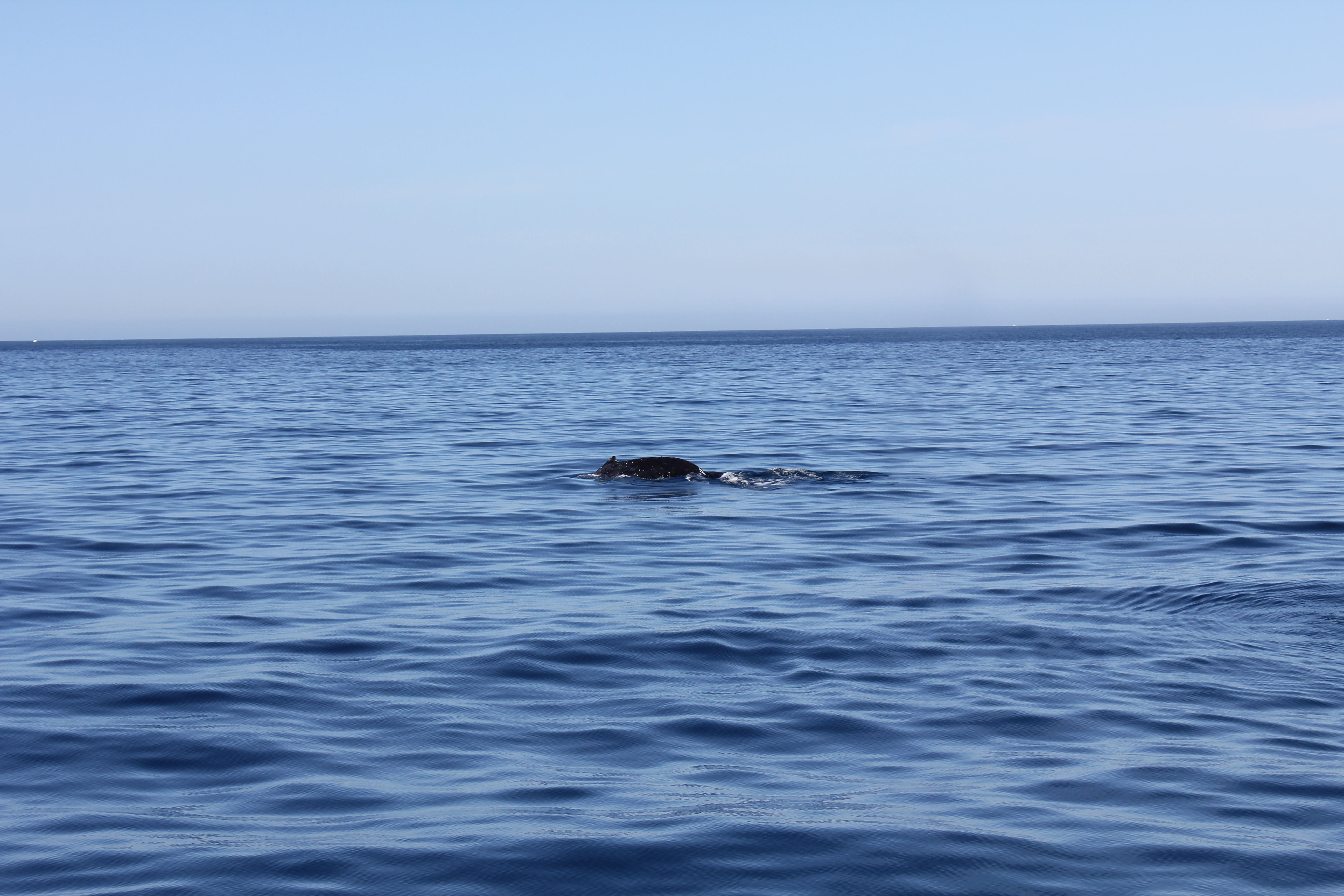 2012 Cabo Family Trip - Day 4