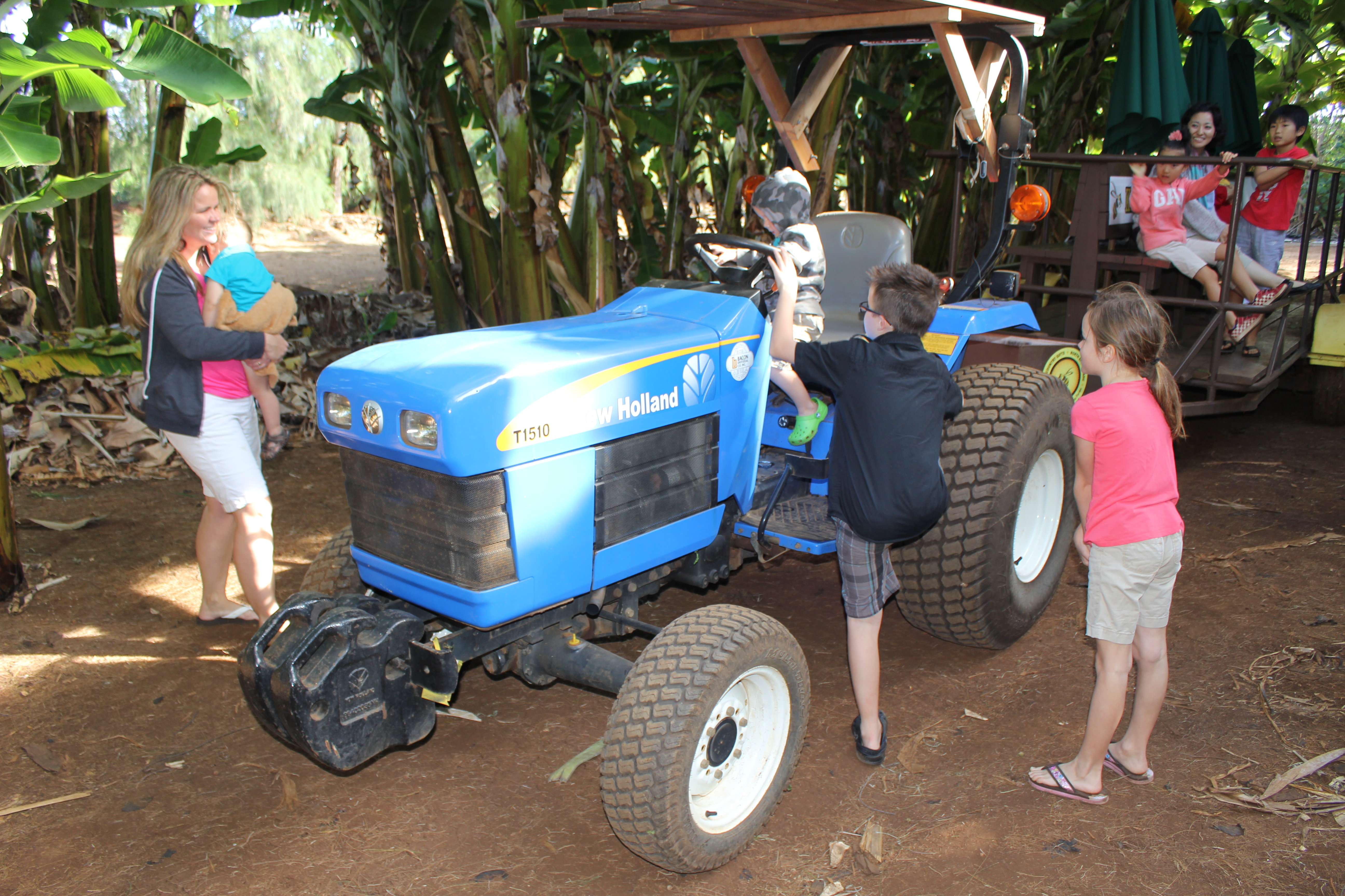 2012 Hawaii Family Trip - Day 4 (Kahuku Farmer's Market, Sea Turtles, Kahuku Farms Tour, Kahuku Shrimp)