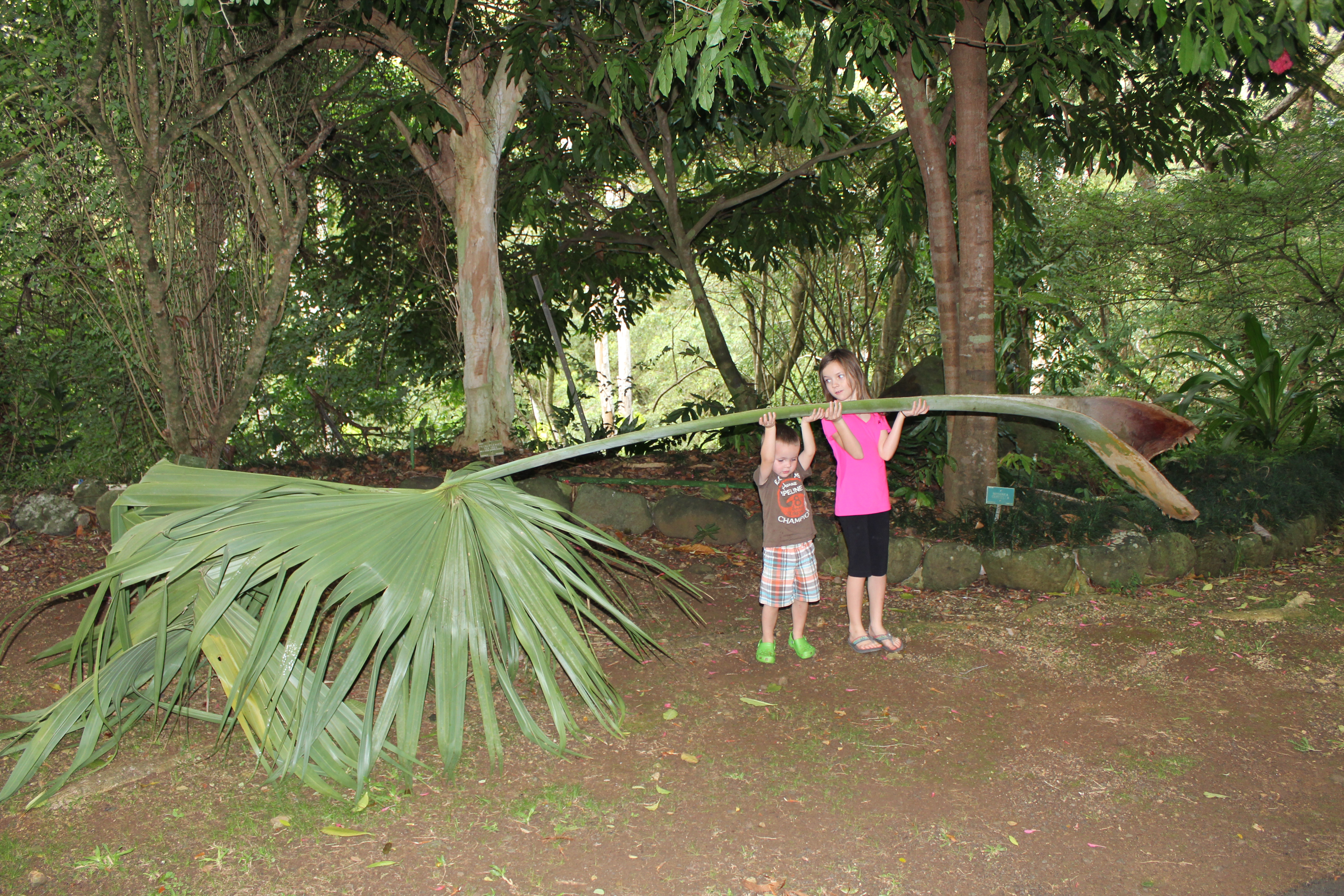 2012 Hawaii Family Trip - Day 5 (Waimea Falls, Ted's Bakery, WheresGeorge.com Dollar Bill)