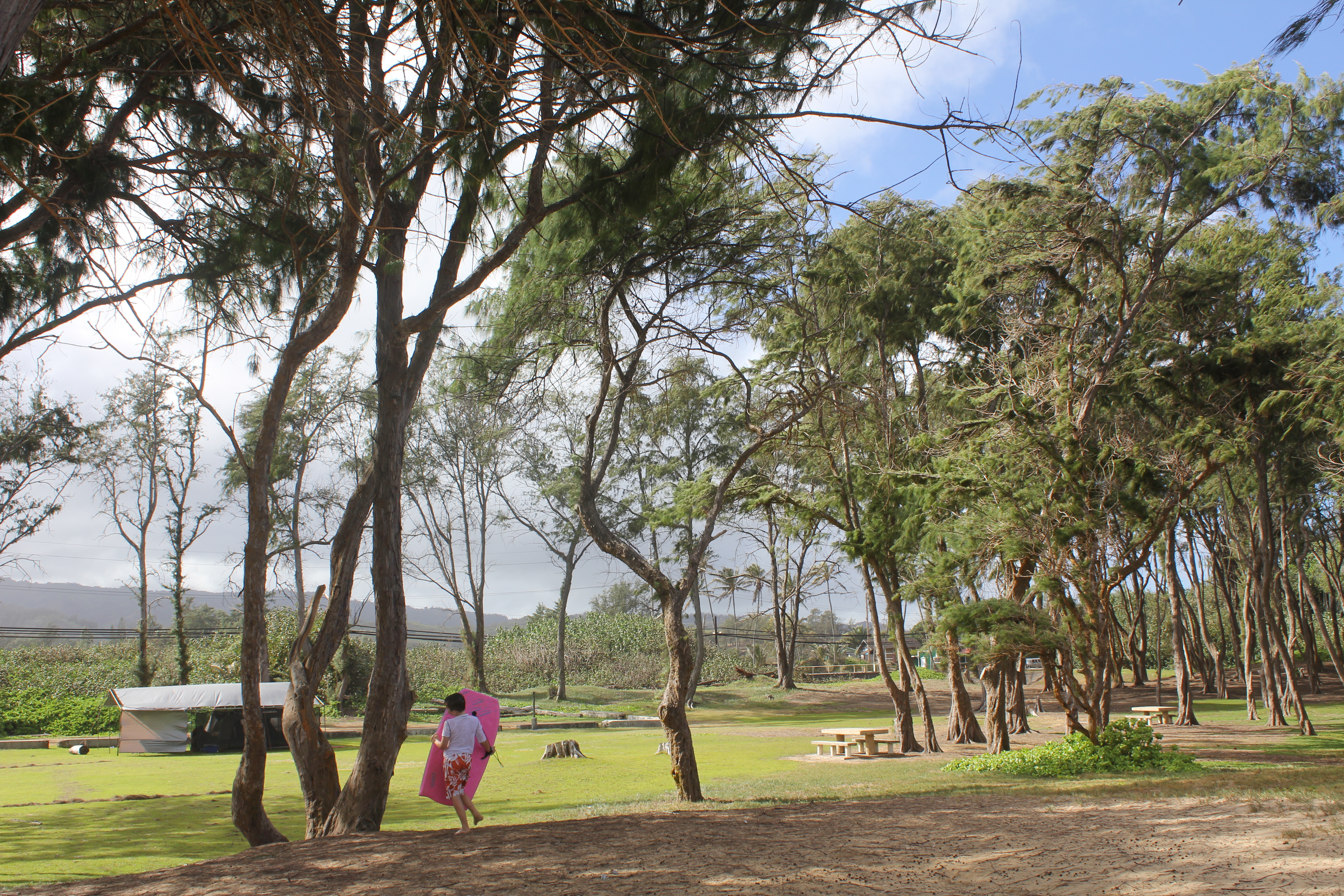 2012 Hawaii Family Trip - Day 10 (North Shore Tacos, Bodyboarding, Laie Hawaii Temple