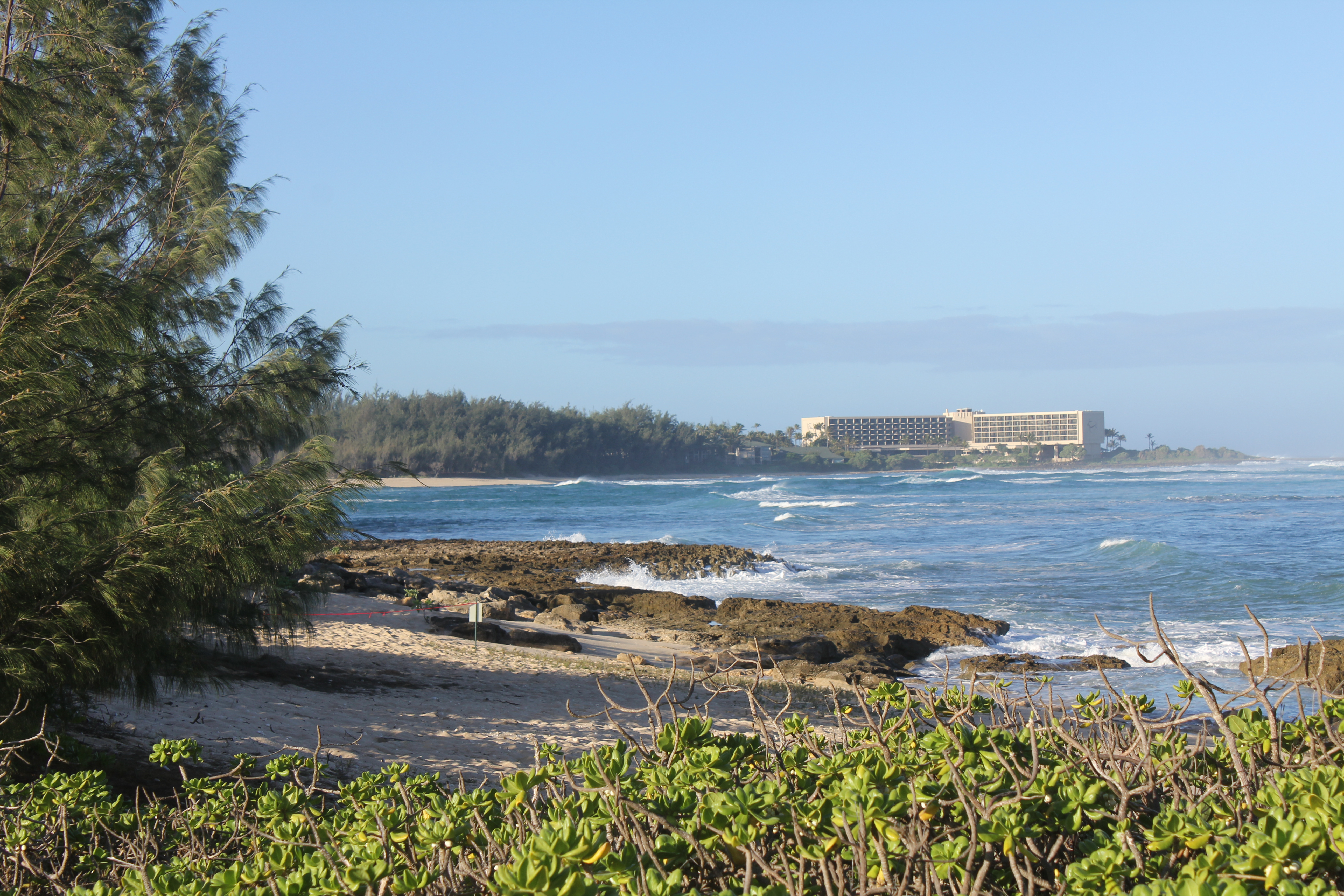 2012 Hawaii Family Trip - Day 11 (Seal, Ted's Bakery, Dole Plantation, Giant Waves, Sunset on Sunset Beach, Gecko)