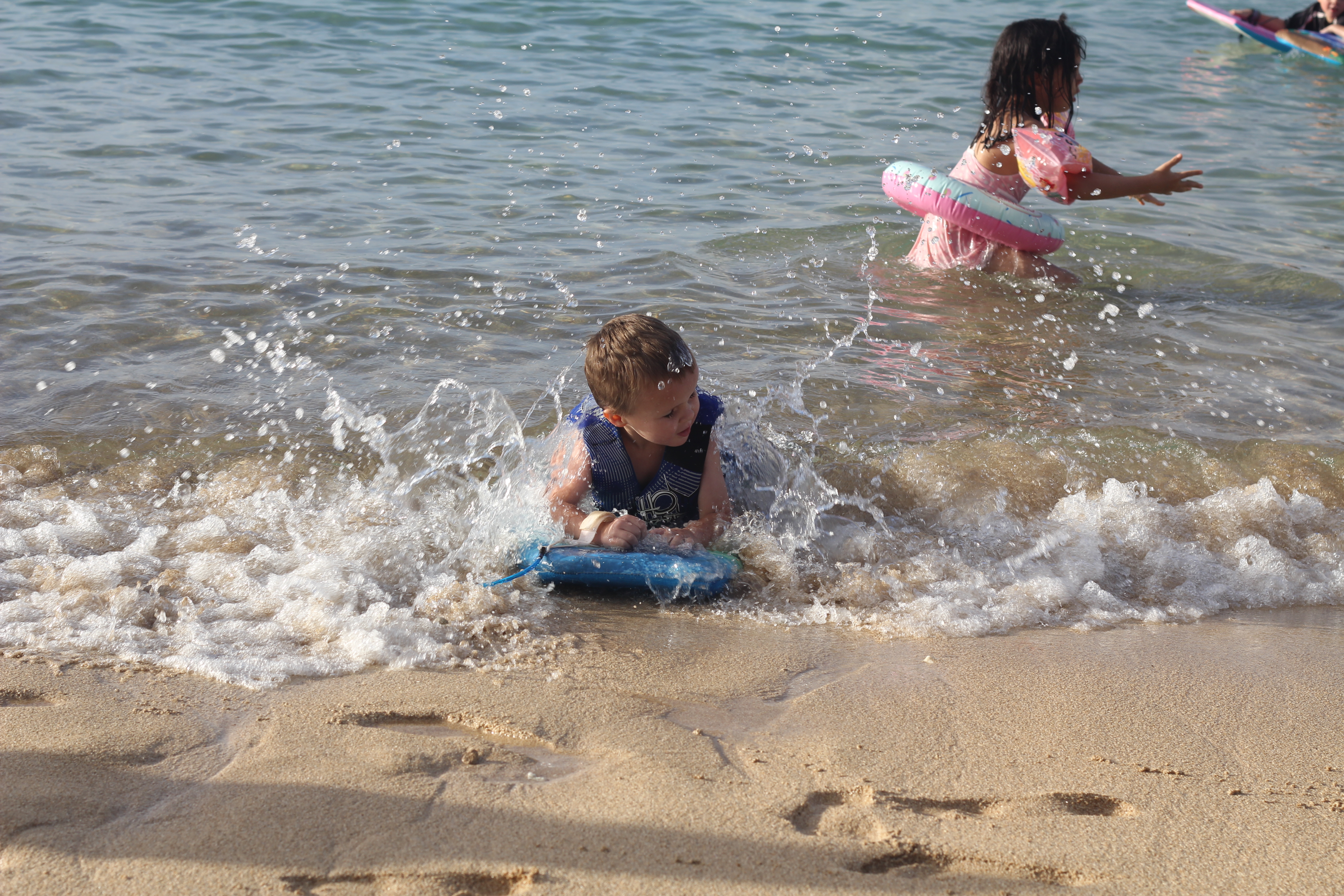2012 Hawaii Family Trip - Day 11 (Seal, Ted's Bakery, Dole Plantation, Giant Waves, Sunset on Sunset Beach, Gecko)