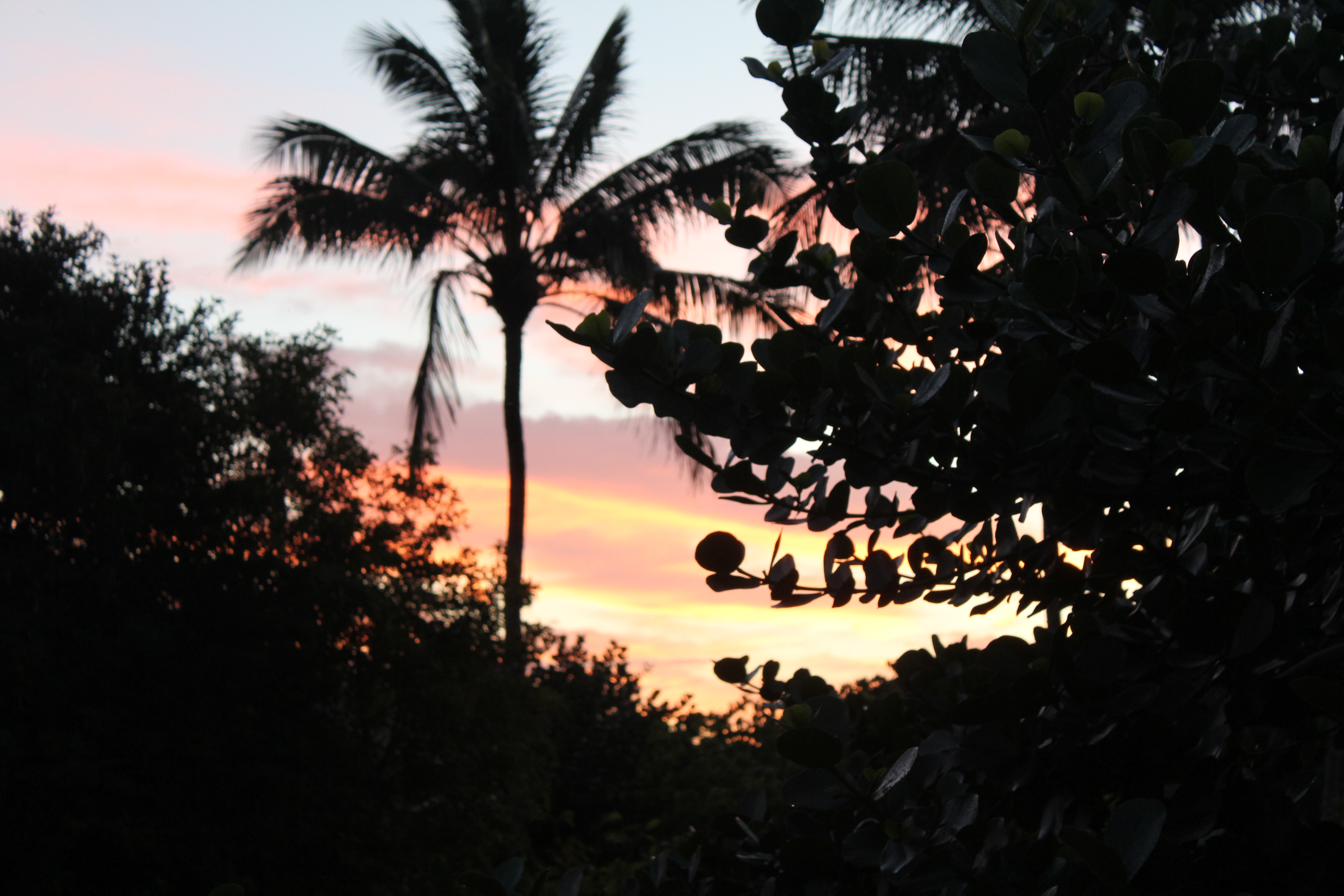 2012 Hawaii Family Trip - Day 12 (Church, Mailing Coconuts Home, Temple Visitor Center Fireside)