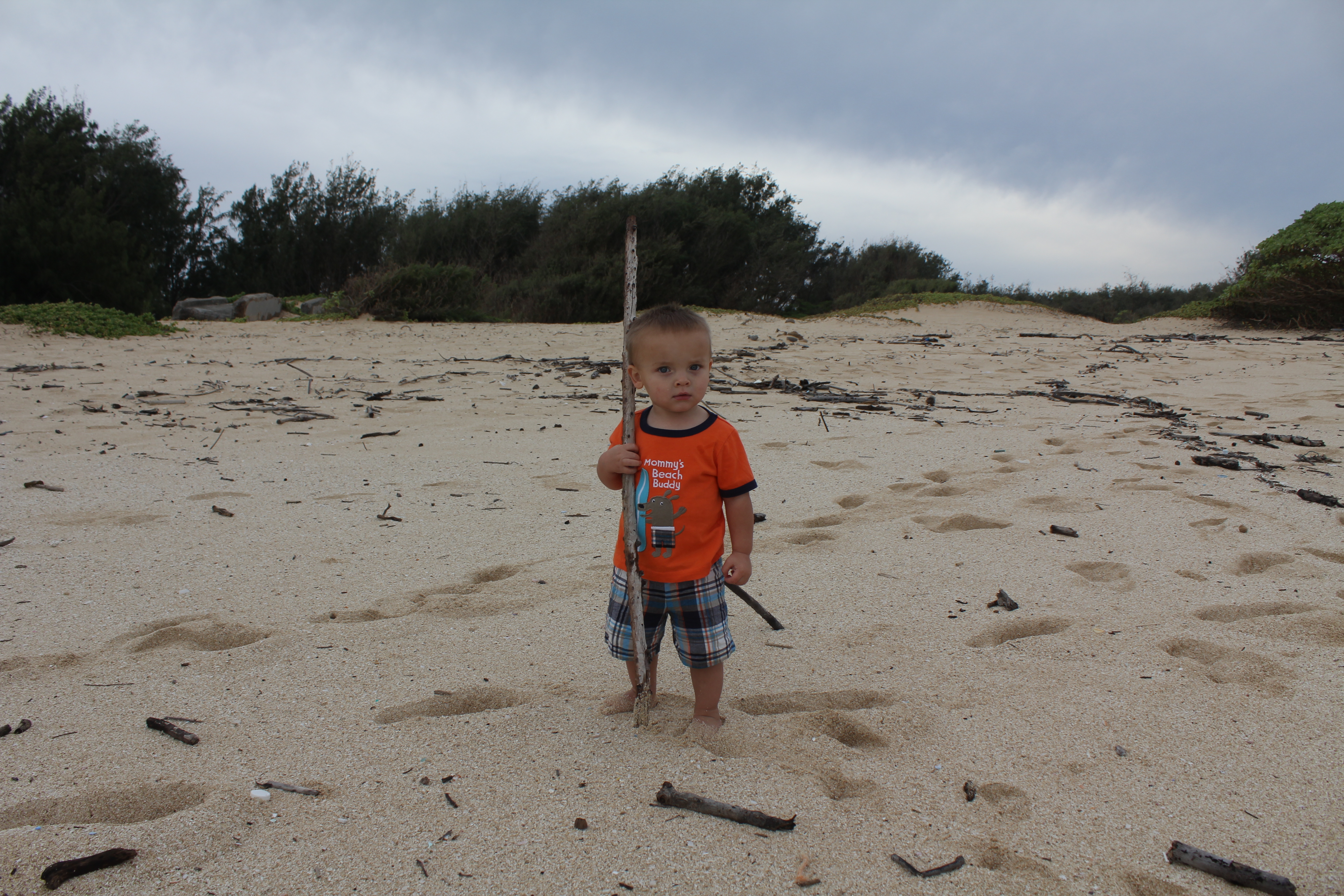 2012 Hawaii Family Trip - Day 13 (Hawaiian Shaved Ice, Romy's Kahuku Prawns & Shrimp, Catching Frogs