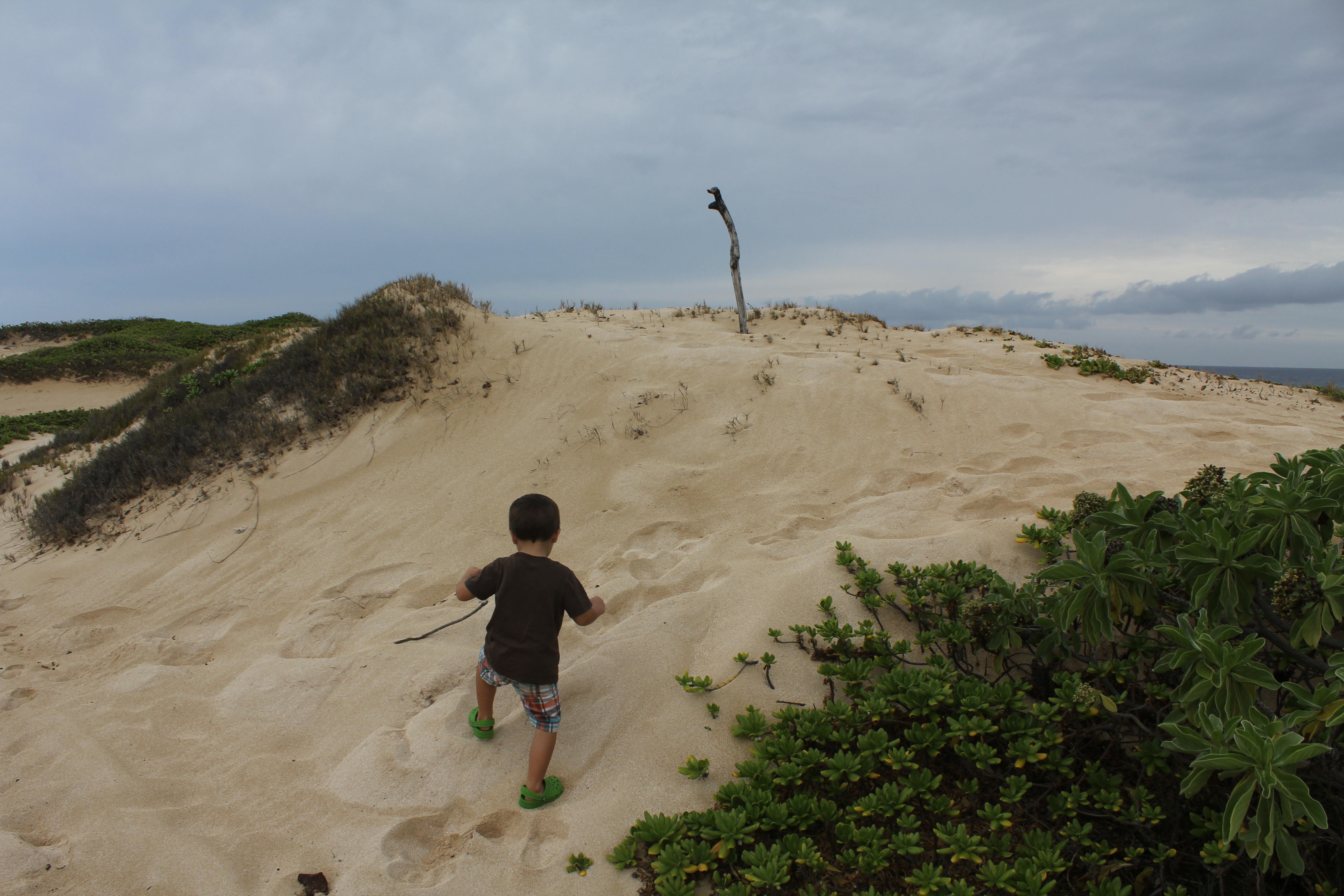 2012 Hawaii Family Trip - Day 13 (Hawaiian Shaved Ice, Romy's Kahuku Prawns & Shrimp, Catching Frogs