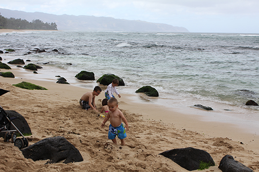 2012 Hawaii Family Trip - Day 4 (Kahuku Farmer's Market, Sea Turtles, Kahuku Farms Tour, Kahuku Shrimp)