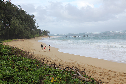 2012 Hawaii Family Trip - Day 6 (Nu'uanu Pali Lookout, Extreme Rainstorm)