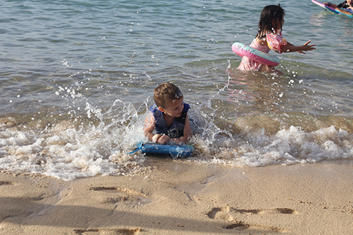 2012 Hawaii Family Trip - Day 11 (Seal, Ted's Bakery, Dole Plantation, Giant Waves, Sunset on Sunset Beach, Gecko)