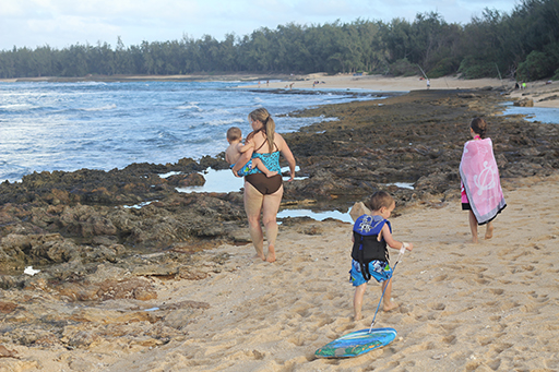 2012 Hawaii Family Trip - Day 11 (Seal, Ted's Bakery, Dole Plantation, Giant Waves, Sunset on Sunset Beach, Gecko)