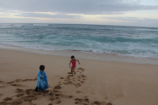 2012 Hawaii Family Trip - Day 11 (Seal, Ted's Bakery, Dole Plantation, Giant Waves, Sunset on Sunset Beach, Gecko)
