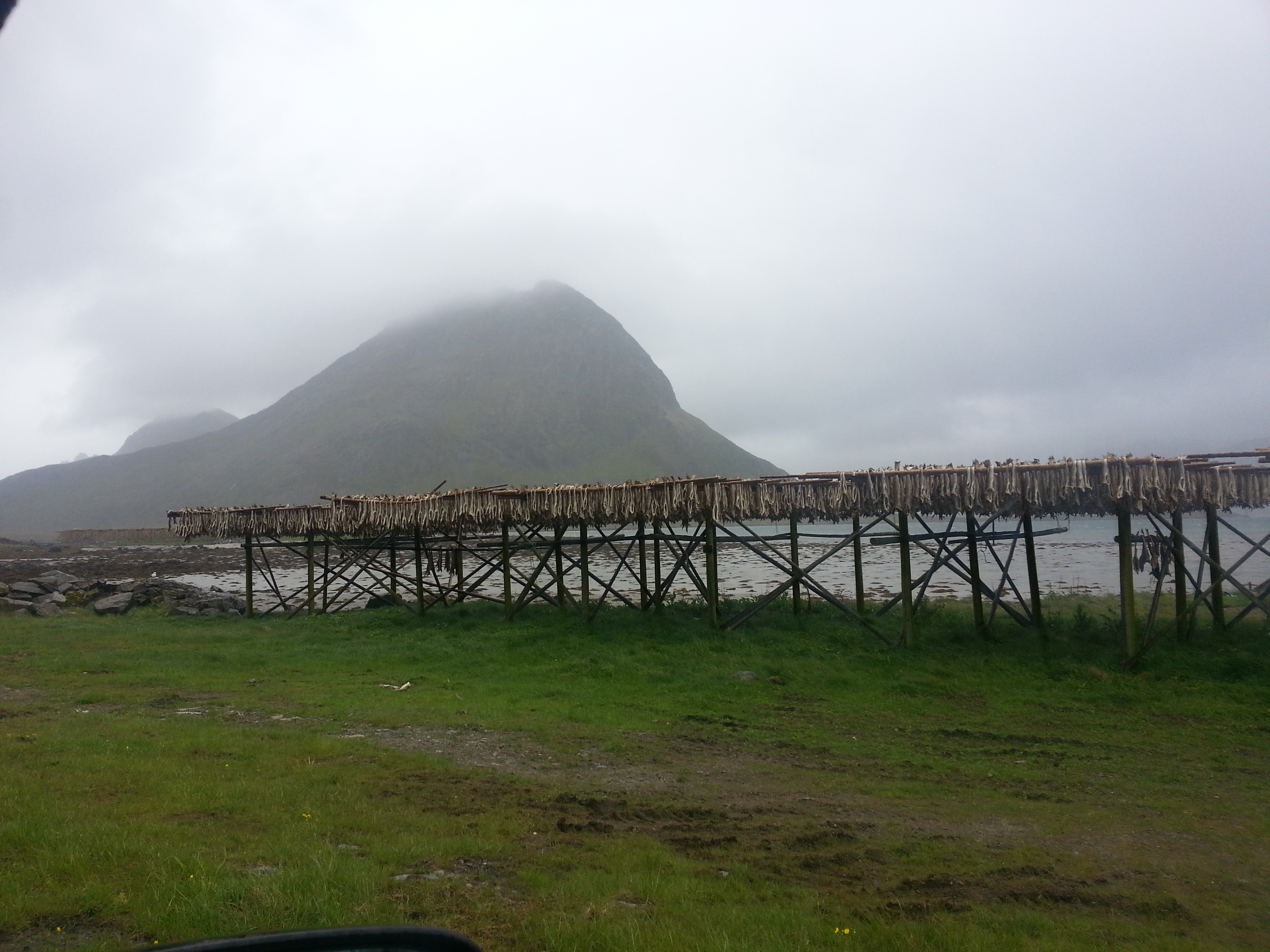 2014 Europe Trip Day 18 - Norway (Lofoten Islands: Sordal Tunnel (4 miles),  Sloverfjord Tunnel (2 miles), Chocolate Chip Rolls, Svolvaer, Lofoten Stockfish (Hanging Cod), Fishing Village Named Å, Snails, Fiskeburger (Fish Burger), Wild Reindeer) 