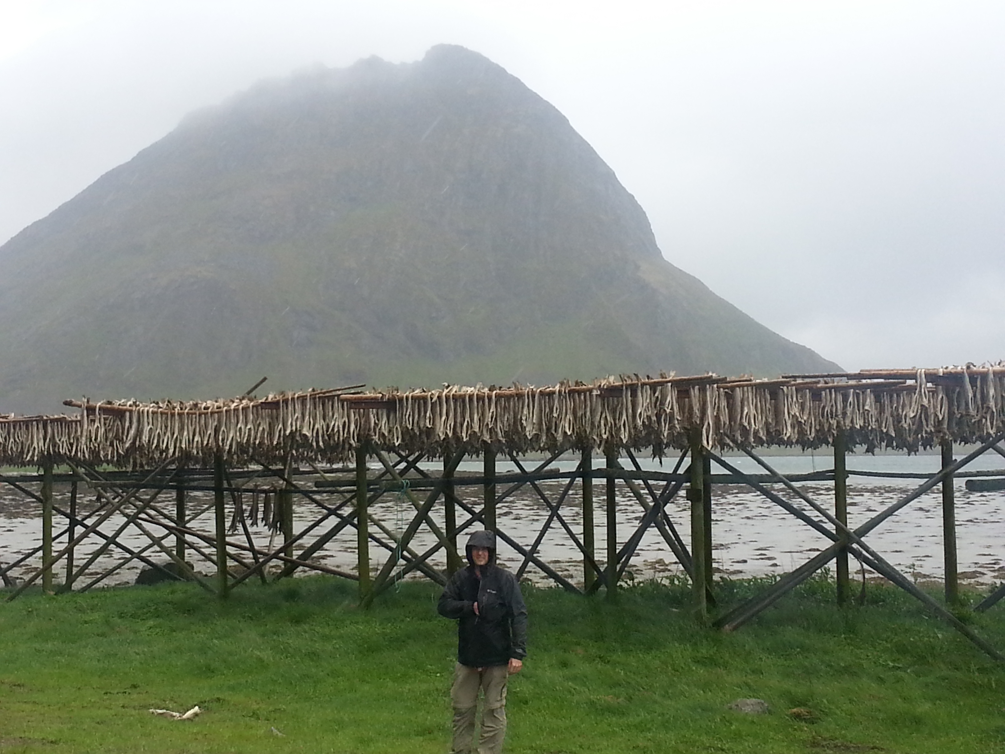 2014 Europe Trip Day 18 - Norway (Lofoten Islands: Sordal Tunnel (4 miles),  Sloverfjord Tunnel (2 miles), Chocolate Chip Rolls, Svolvaer, Lofoten Stockfish (Hanging Cod), Fishing Village Named Å, Snails, Fiskeburger (Fish Burger), Wild Reindeer) 