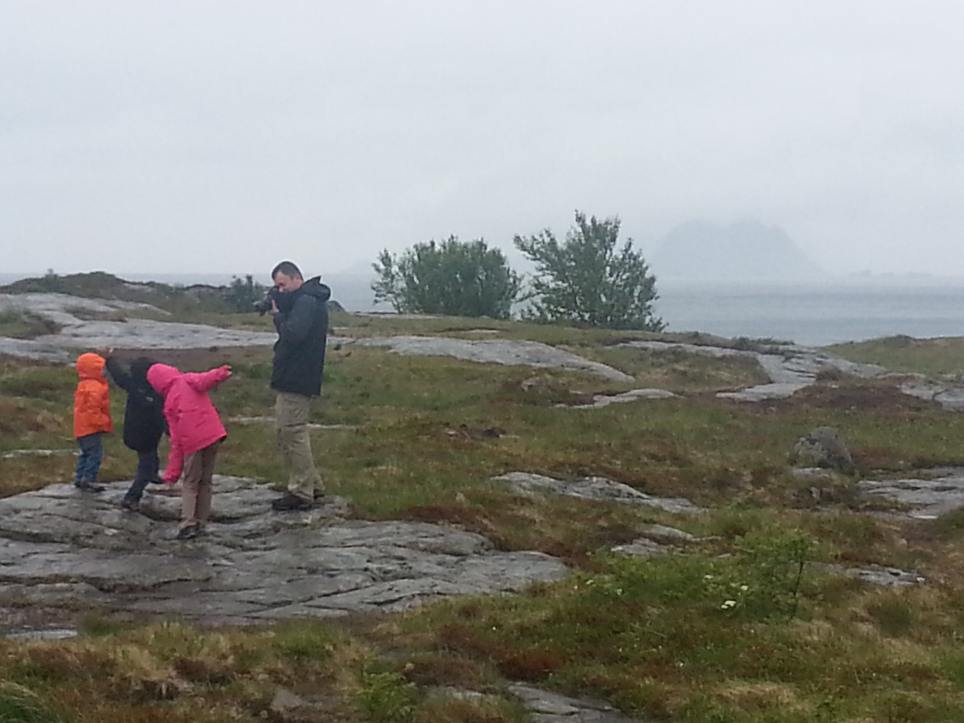 2014 Europe Trip Day 18 - Norway (Lofoten Islands: Sordal Tunnel (4 miles),  Sloverfjord Tunnel (2 miles), Chocolate Chip Rolls, Svolvaer, Lofoten Stockfish (Hanging Cod), Fishing Village Named Å, Snails, Fiskeburger (Fish Burger), Wild Reindeer) 