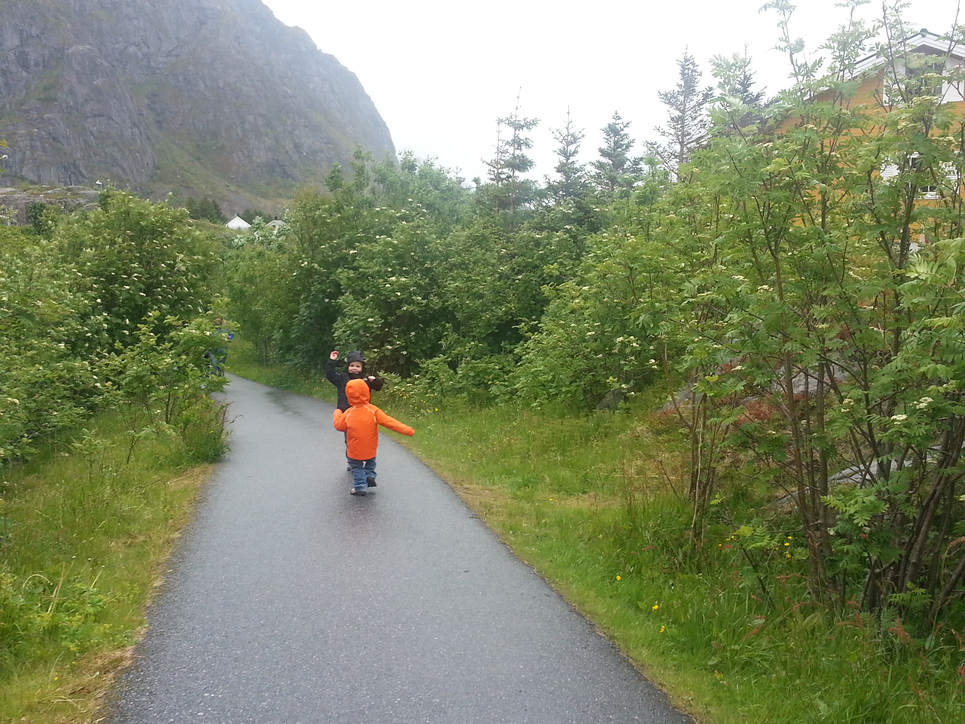 2014 Europe Trip Day 18 - Norway (Lofoten Islands: Sordal Tunnel (4 miles),  Sloverfjord Tunnel (2 miles), Chocolate Chip Rolls, Svolvaer, Lofoten Stockfish (Hanging Cod), Fishing Village Named Å, Snails, Fiskeburger (Fish Burger), Wild Reindeer) 