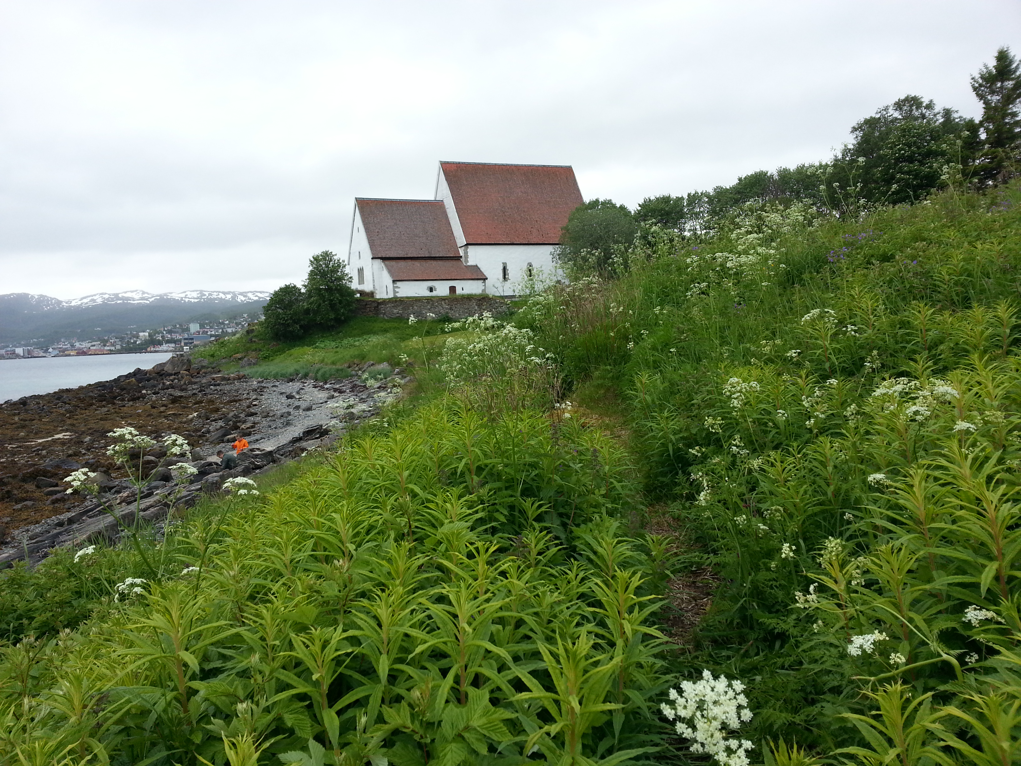 2014 Europe Trip Day 19 - Norway (Harstad & Kasfjord: Grete, Music Festival, Trondenes Church, Israelsen Gravestones, Viking Museum, Dinner with Israelsen Relatives (Tor-Arne & Bodil Eilertsen, Ernst Eilertsen, Arvid & Tove Eilertsen), Nupen Midnight Sun)