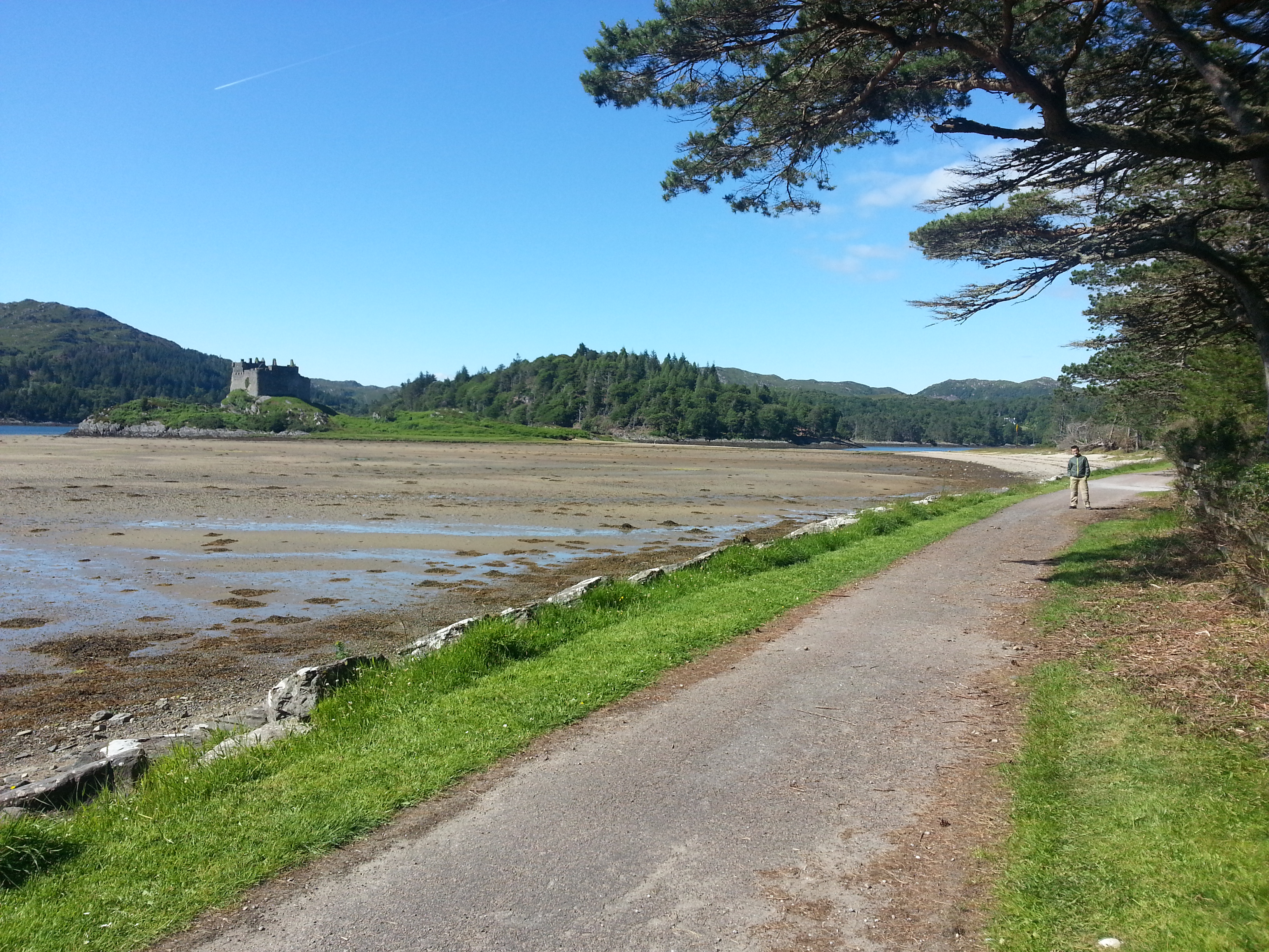 2014 Europe Trip Day 26 - Scotland (Ardachy House Yurt, Heilan' Coo, Fionnphort-Iona Ferry, Iona Nunnery, Iona Abbey (Britain Christianity Birthplace), Scottish Heather, Tobermory-Kilchoan Ferry, Castle Tioram, Glenfinnan Monument, Biting Midges!)