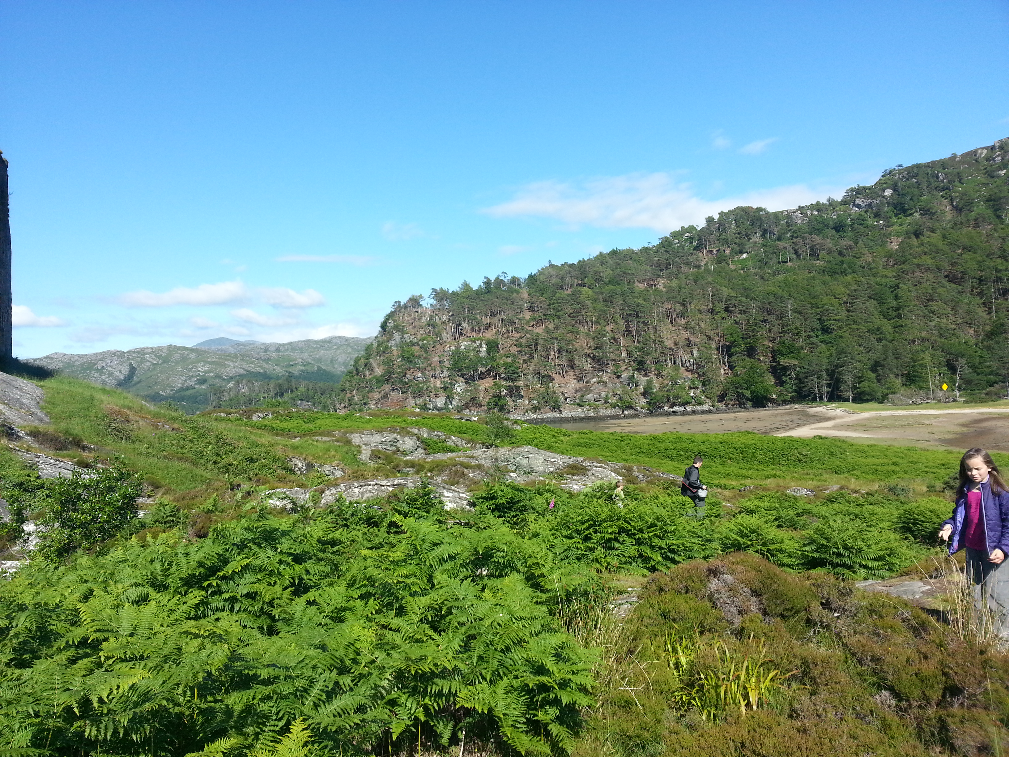 2014 Europe Trip Day 26 - Scotland (Ardachy House Yurt, Heilan' Coo, Fionnphort-Iona Ferry, Iona Nunnery, Iona Abbey (Britain Christianity Birthplace), Scottish Heather, Tobermory-Kilchoan Ferry, Castle Tioram, Glenfinnan Monument, Biting Midges!)