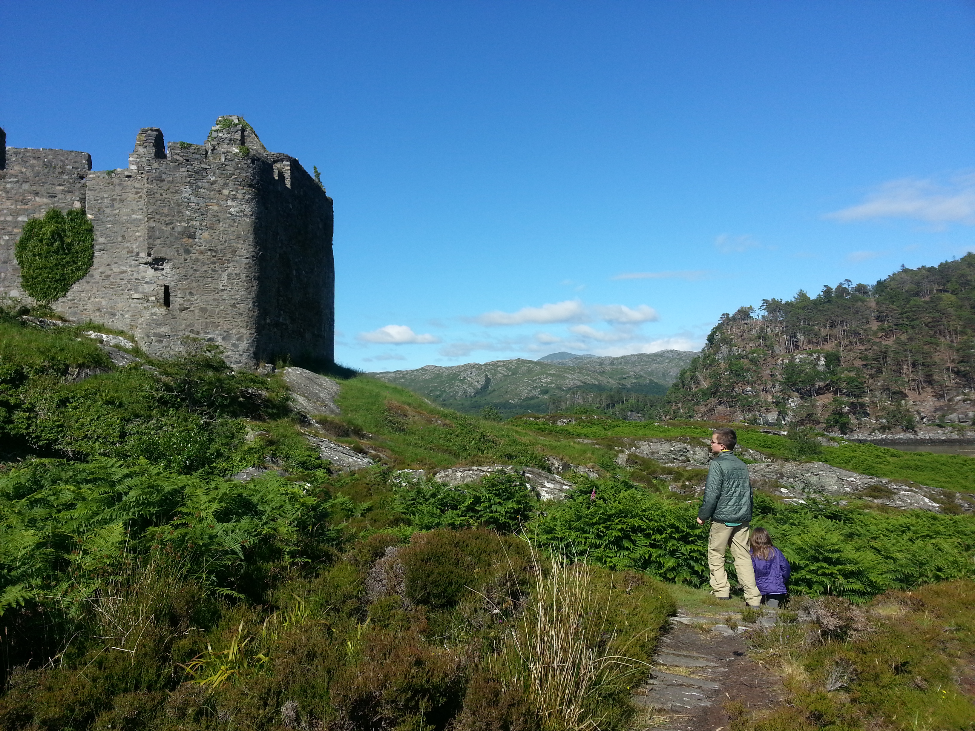 2014 Europe Trip Day 26 - Scotland (Ardachy House Yurt, Heilan' Coo, Fionnphort-Iona Ferry, Iona Nunnery, Iona Abbey (Britain Christianity Birthplace), Scottish Heather, Tobermory-Kilchoan Ferry, Castle Tioram, Glenfinnan Monument, Biting Midges!)