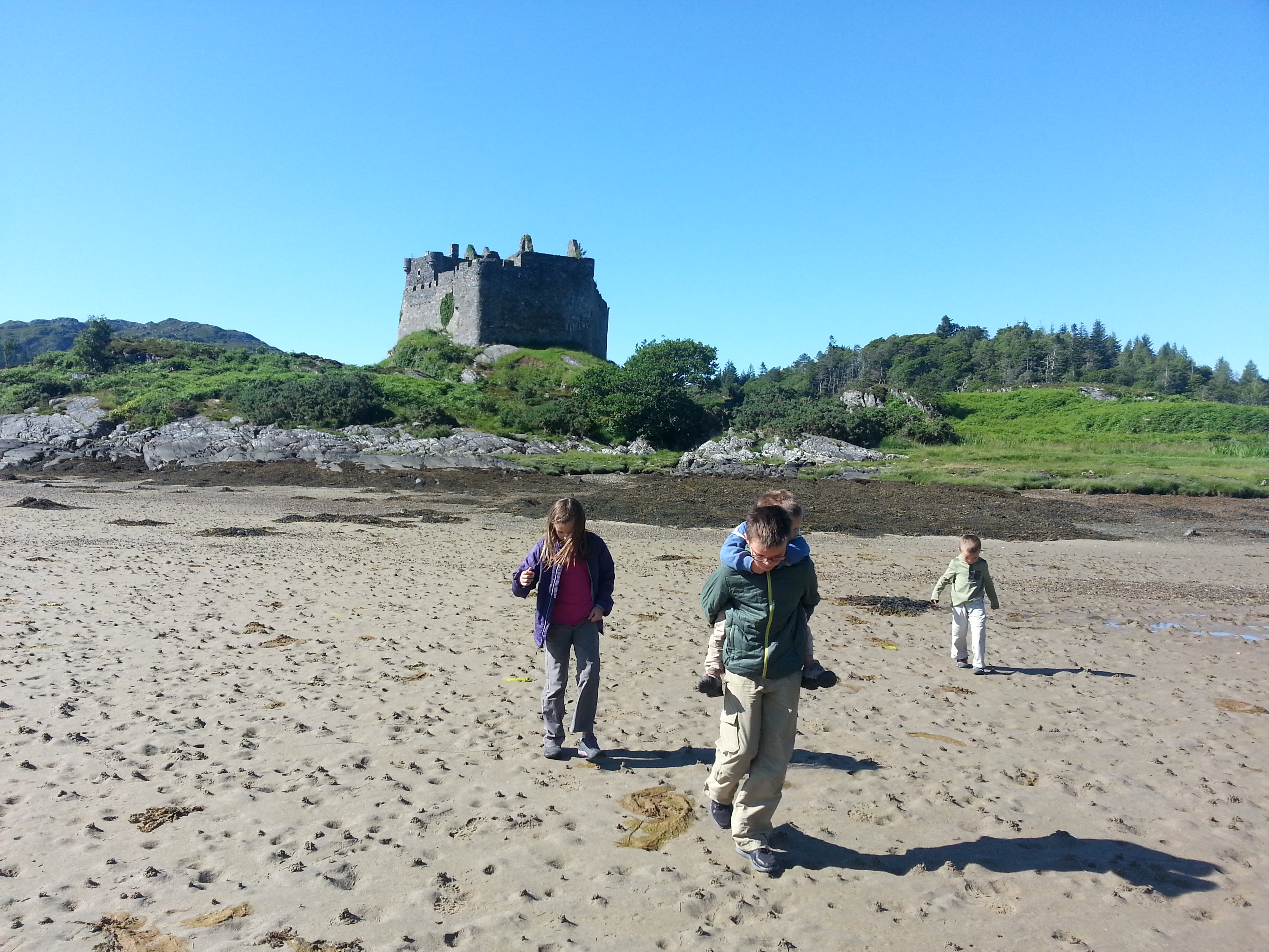 2014 Europe Trip Day 26 - Scotland (Ardachy House Yurt, Heilan' Coo, Fionnphort-Iona Ferry, Iona Nunnery, Iona Abbey (Britain Christianity Birthplace), Scottish Heather, Tobermory-Kilchoan Ferry, Castle Tioram, Glenfinnan Monument, Biting Midges!)