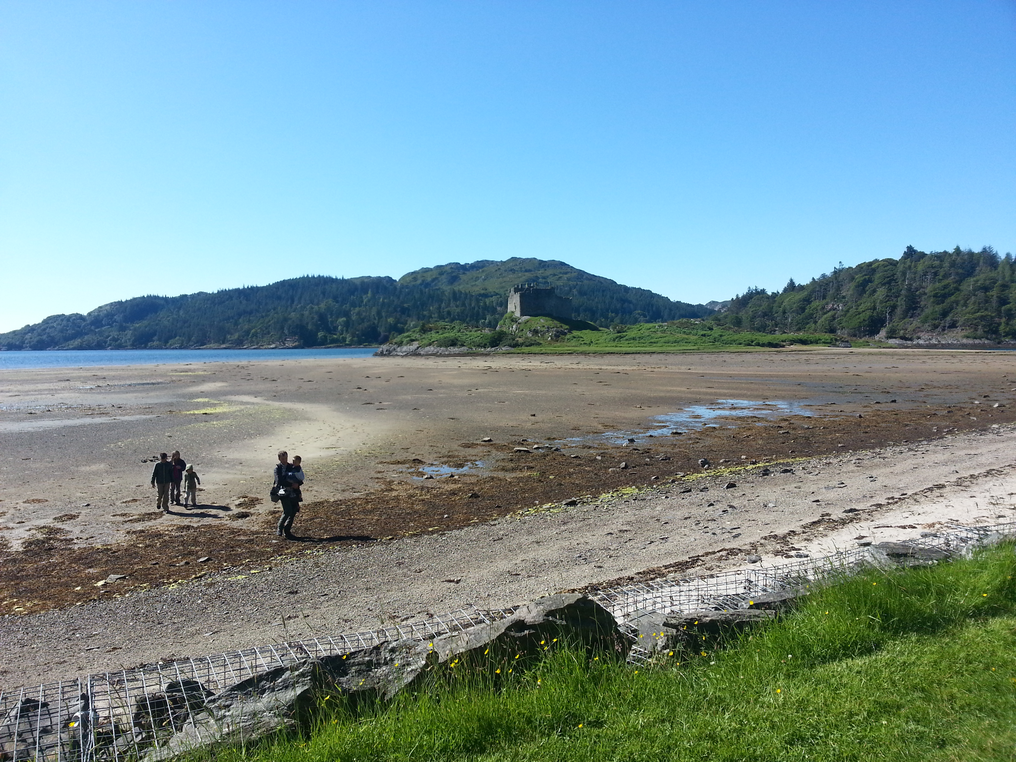 2014 Europe Trip Day 26 - Scotland (Ardachy House Yurt, Heilan' Coo, Fionnphort-Iona Ferry, Iona Nunnery, Iona Abbey (Britain Christianity Birthplace), Scottish Heather, Tobermory-Kilchoan Ferry, Castle Tioram, Glenfinnan Monument, Biting Midges!)