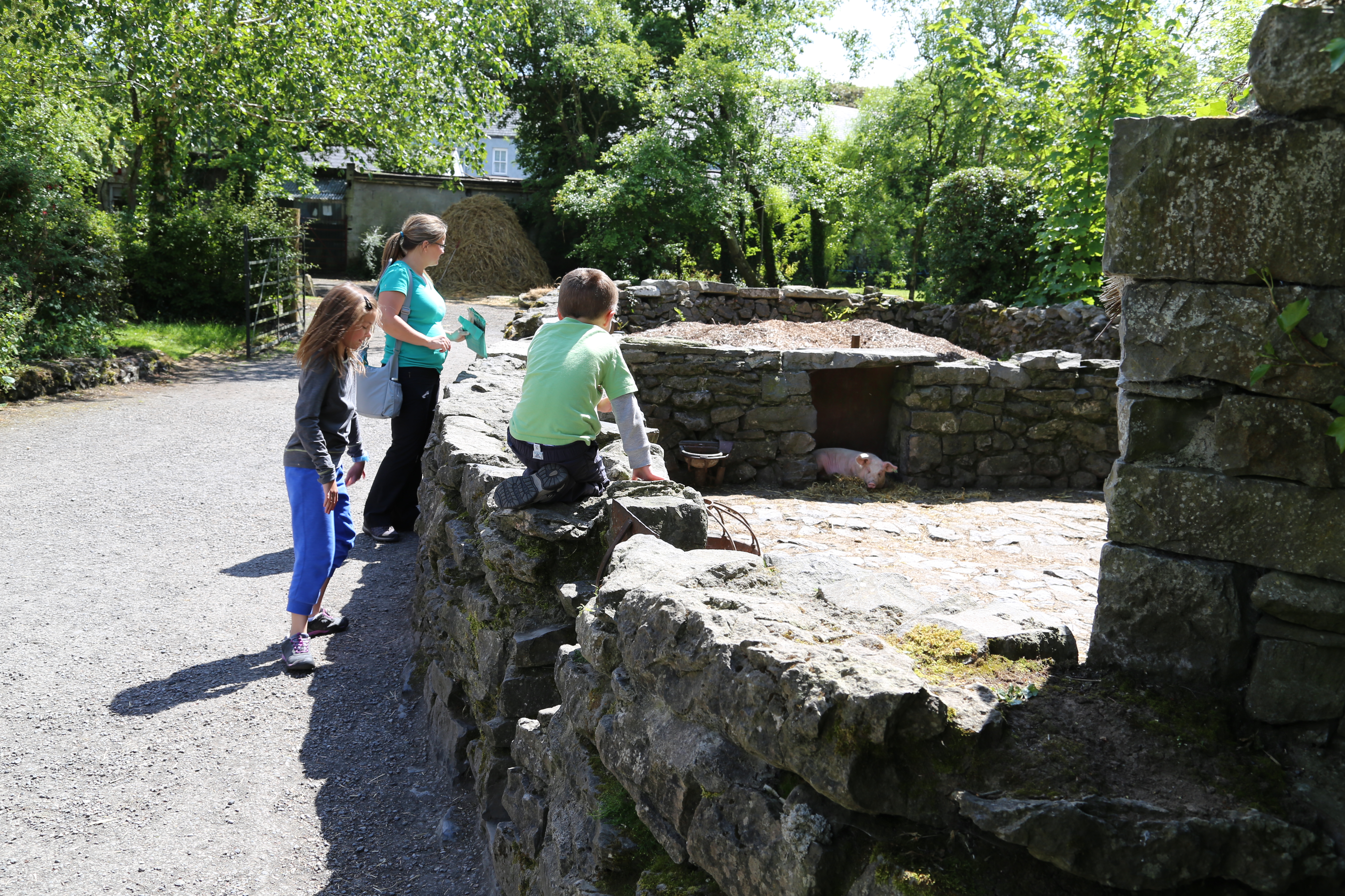 2014 Europe Trip Day 2 - Ireland (Shannon Airport, Bunratty Castle, Kenmare, Cliffs of Moher, Irish Stew, Live Irish Music)