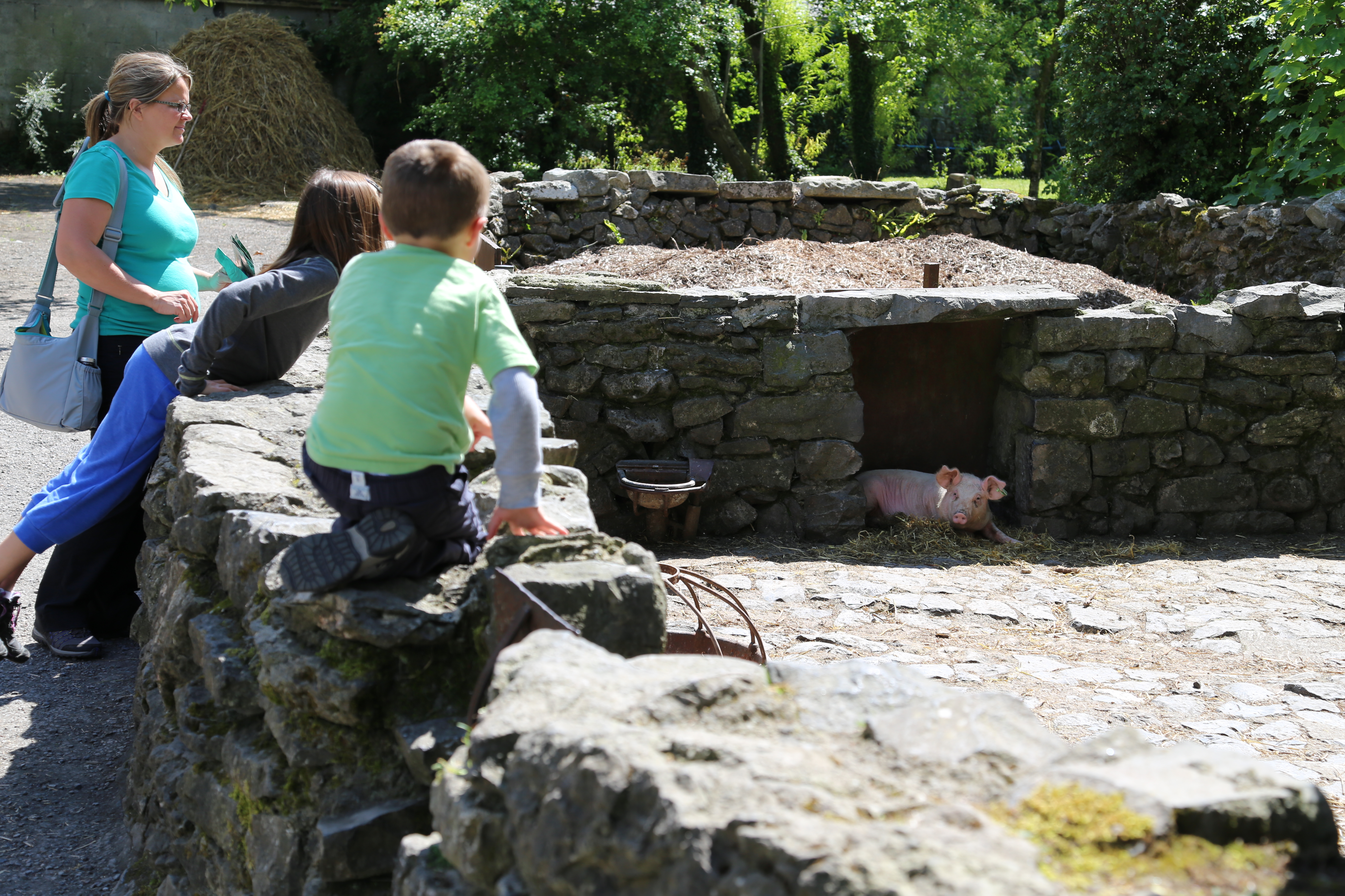 2014 Europe Trip Day 2 - Ireland (Shannon Airport, Bunratty Castle, Kenmare, Cliffs of Moher, Irish Stew, Live Irish Music)